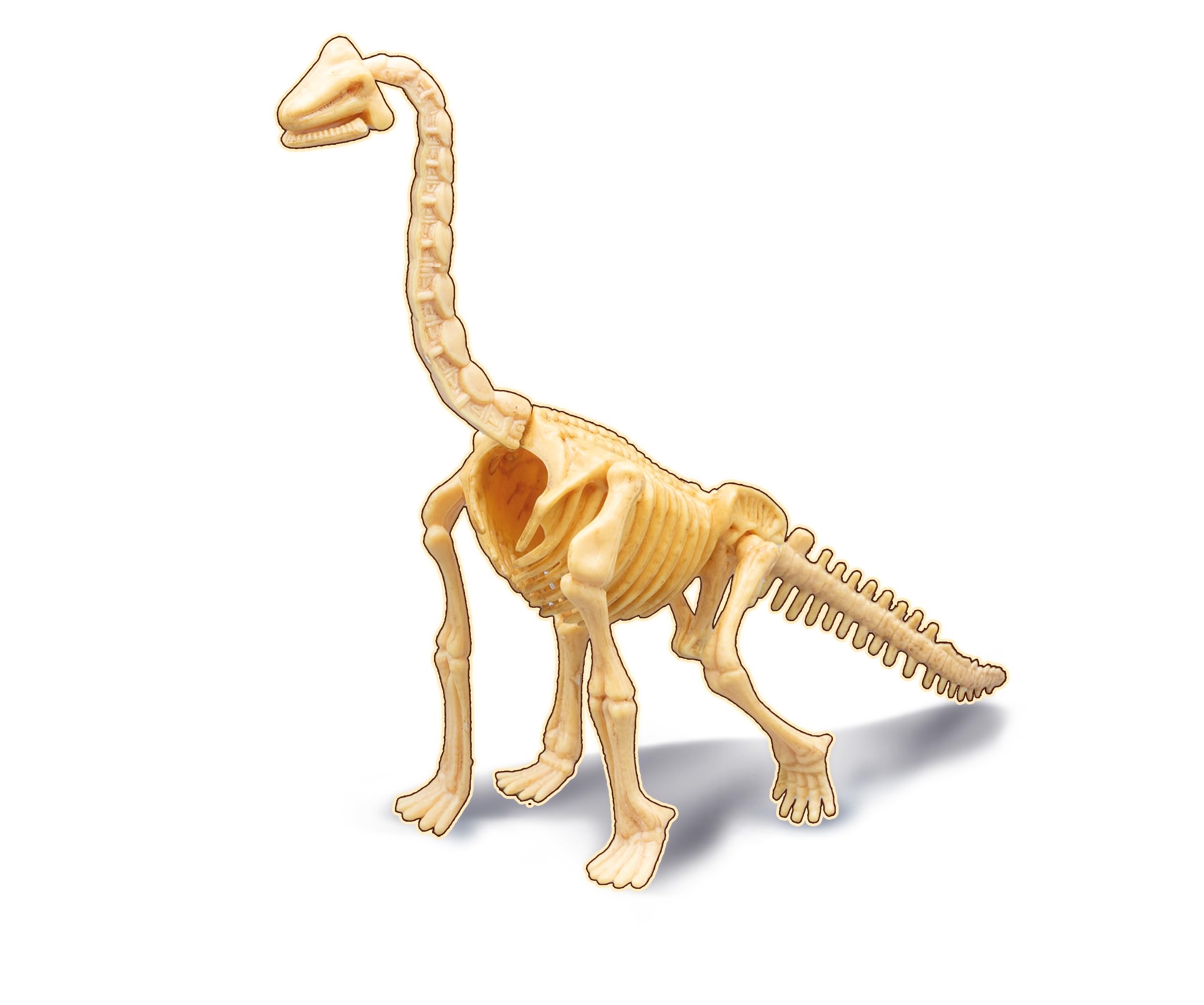 buki-dino-dig-brachiosaure-dinosaure-d-terrer-squelette-20-cm image 3