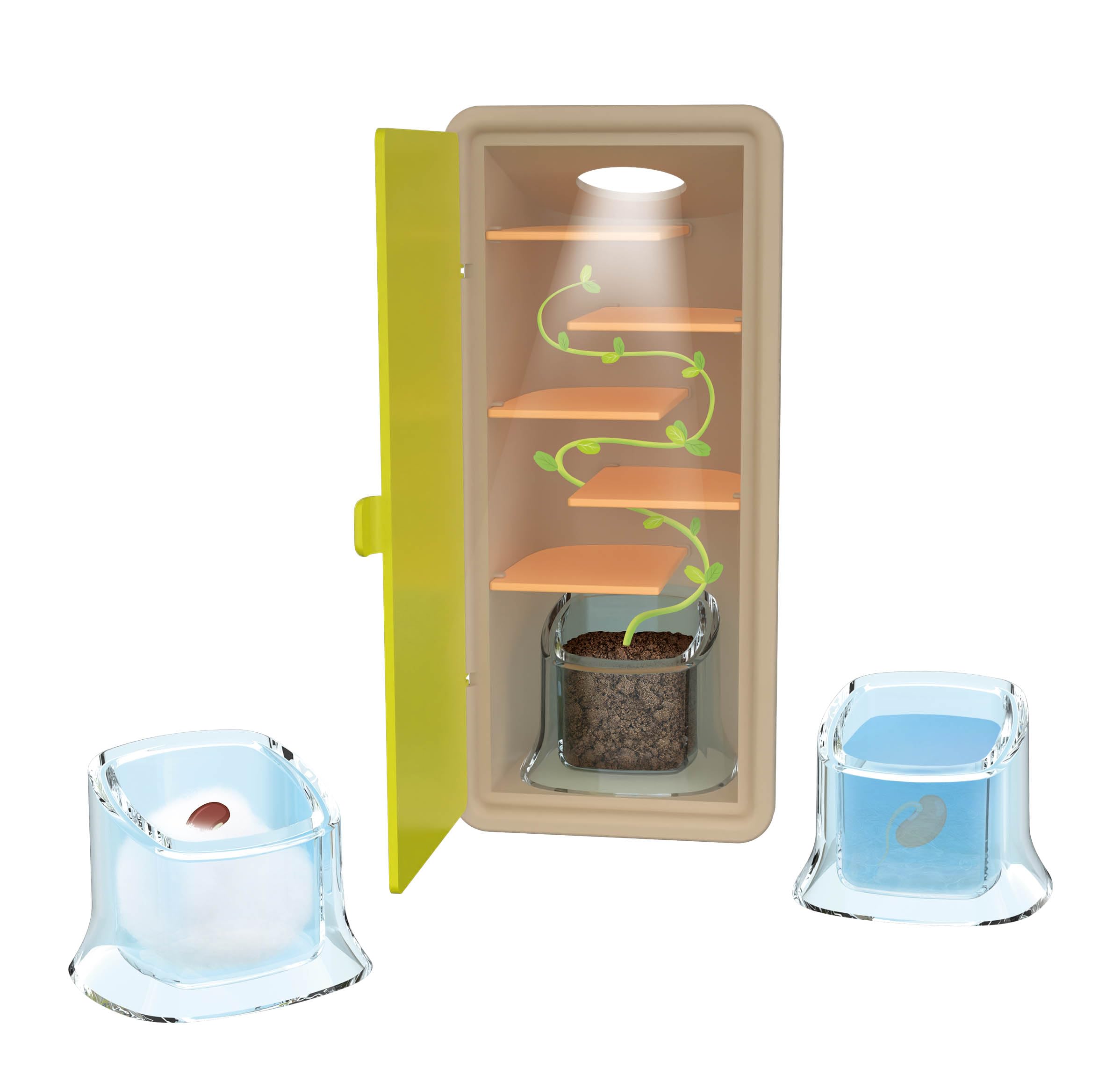 buki-science-petite-pousse-kit-germination-jardinage-d-s-5-ans image 7
