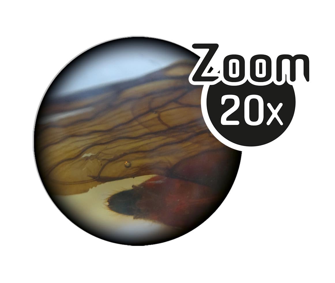 buki-science-mr500-microscope-binoculaire-3d-x20-led image 5