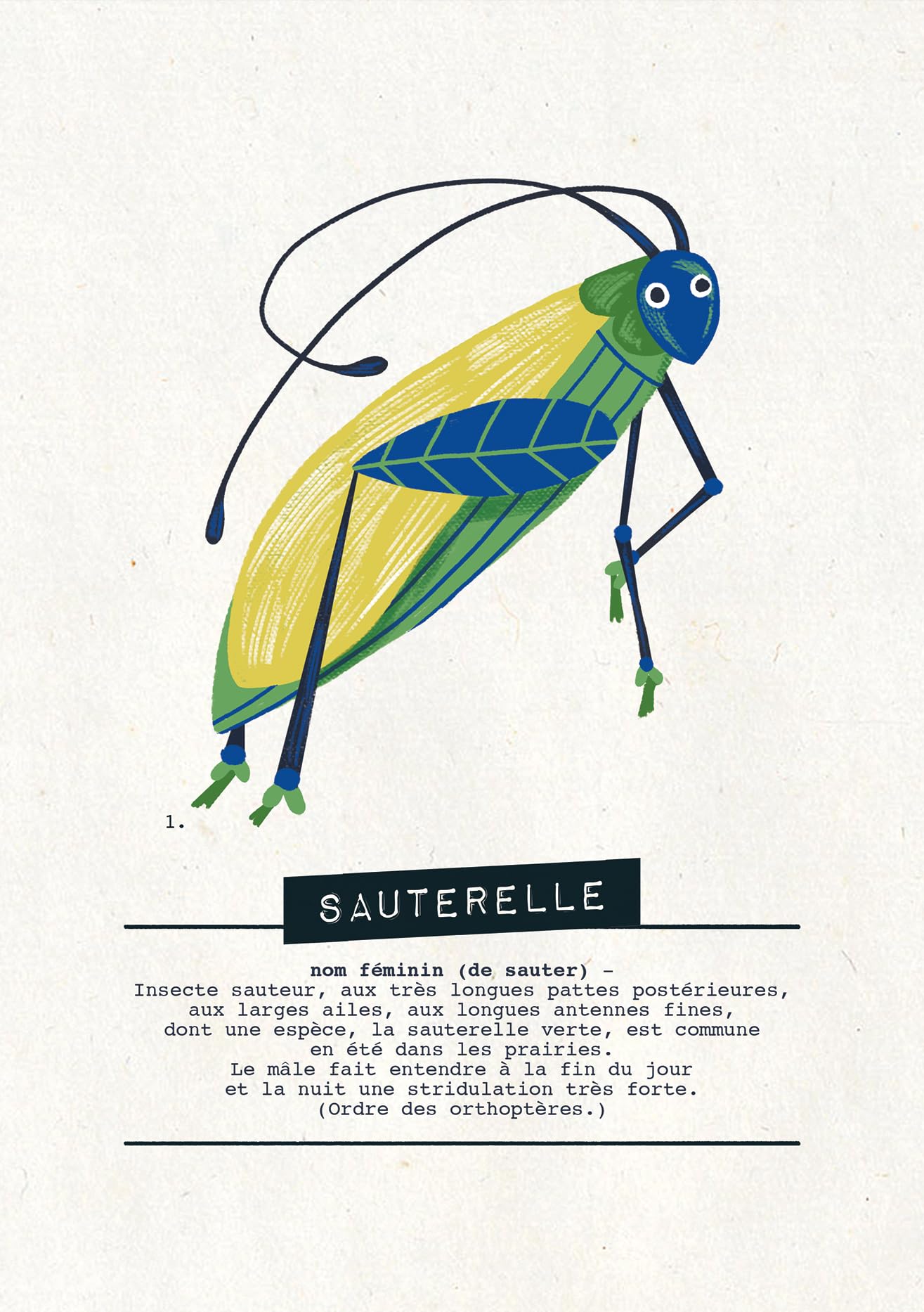 blackrock-enqu-te-nature-et-insectes-jeu-enfant-7-ans image 6