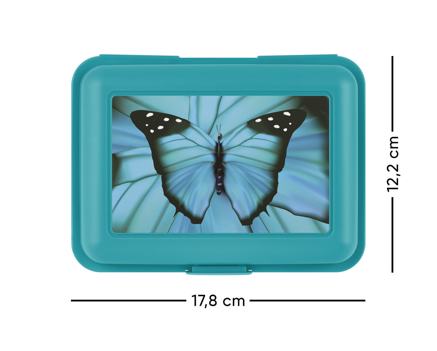 baagl-butterfly-bo-te-go-ter-bleue-compartiment image 2