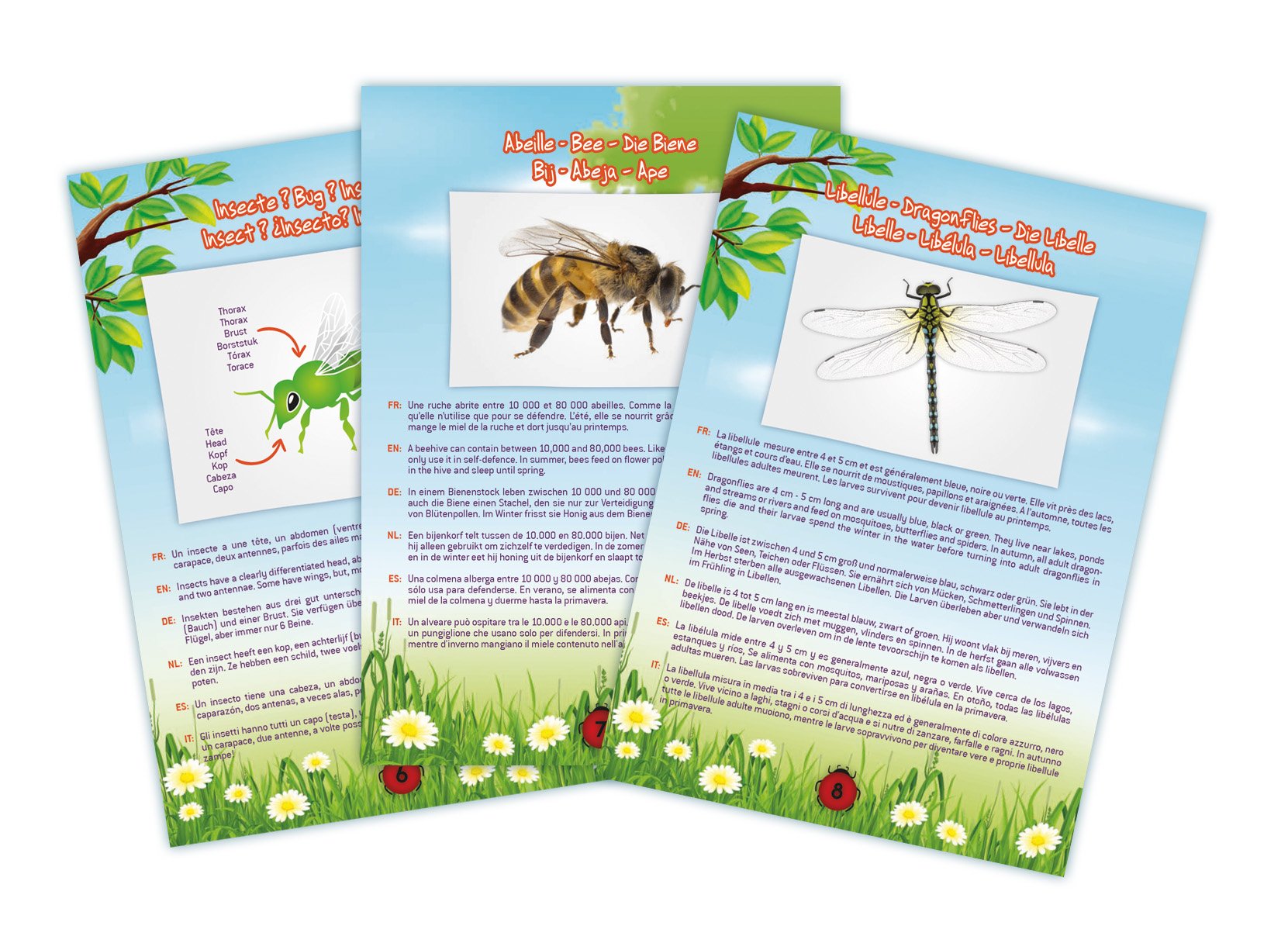 buki-nature-bl052-aspirateur-insectes-moyen image 6