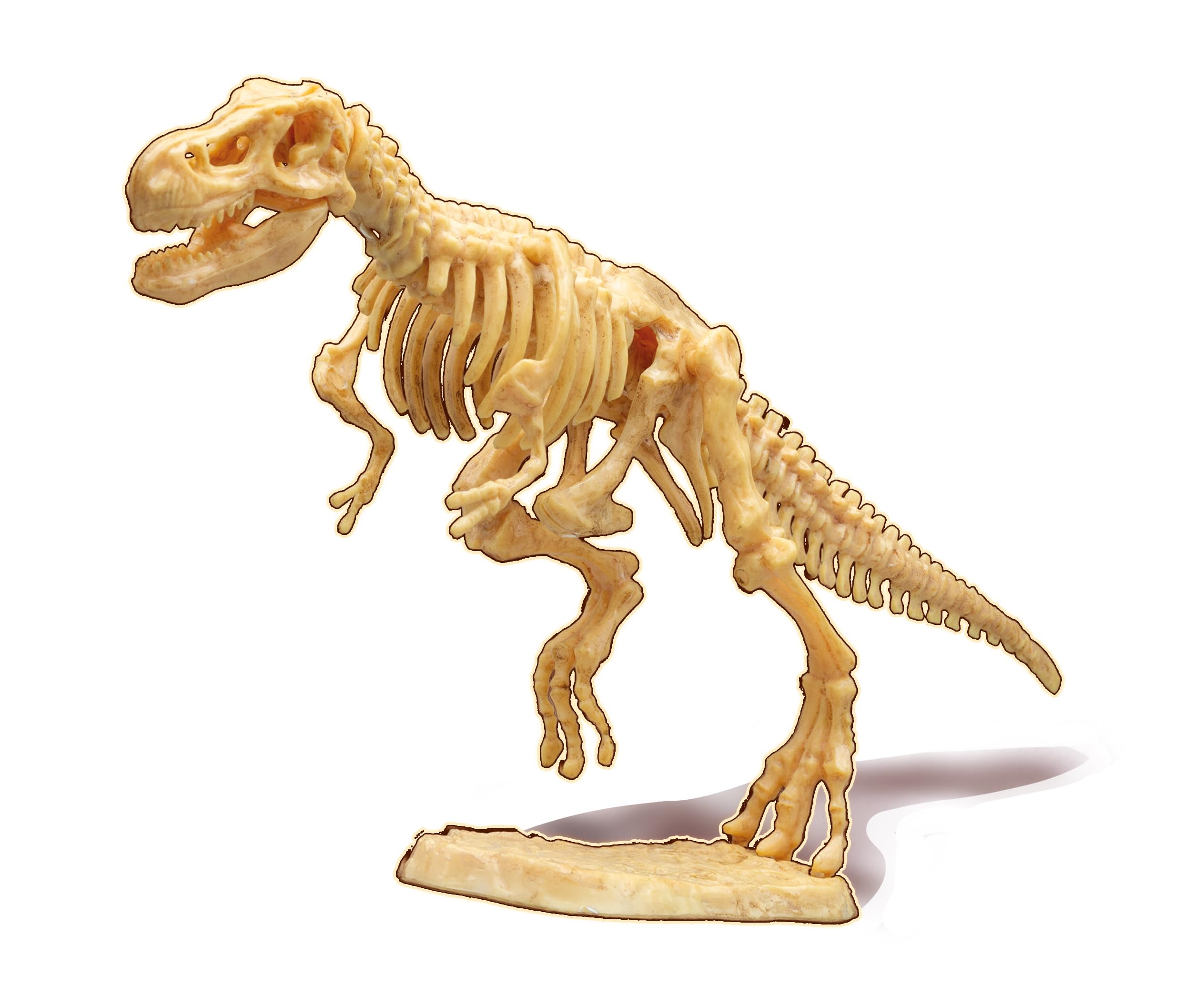 buki-science-dino-dig-t-rex-kit-fouille-dinosaure-20-cm image 5