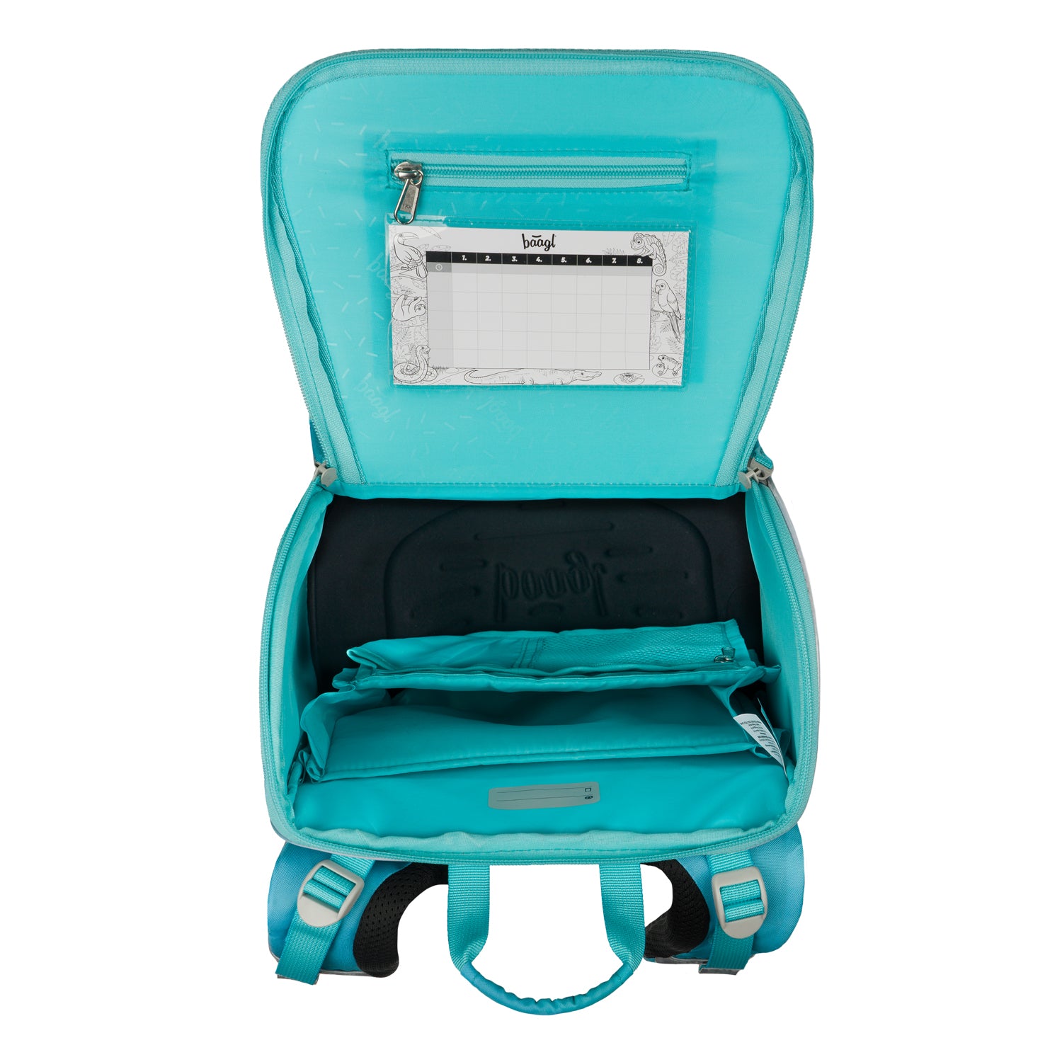 baagl-zippy-dolphin-cartable-dauphin-ergonomique-18-l image 5