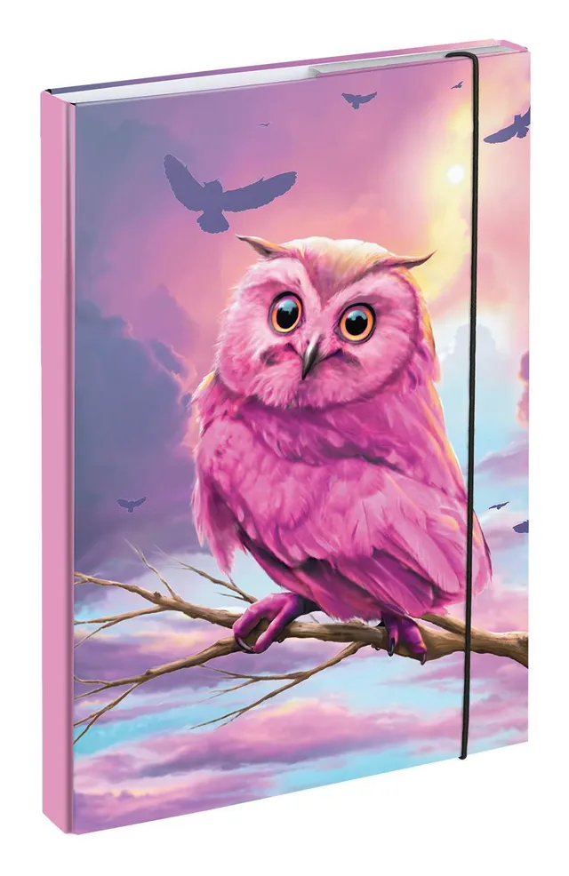 baagl-notebook-folders-owl-chemise-a4-hibou image 1