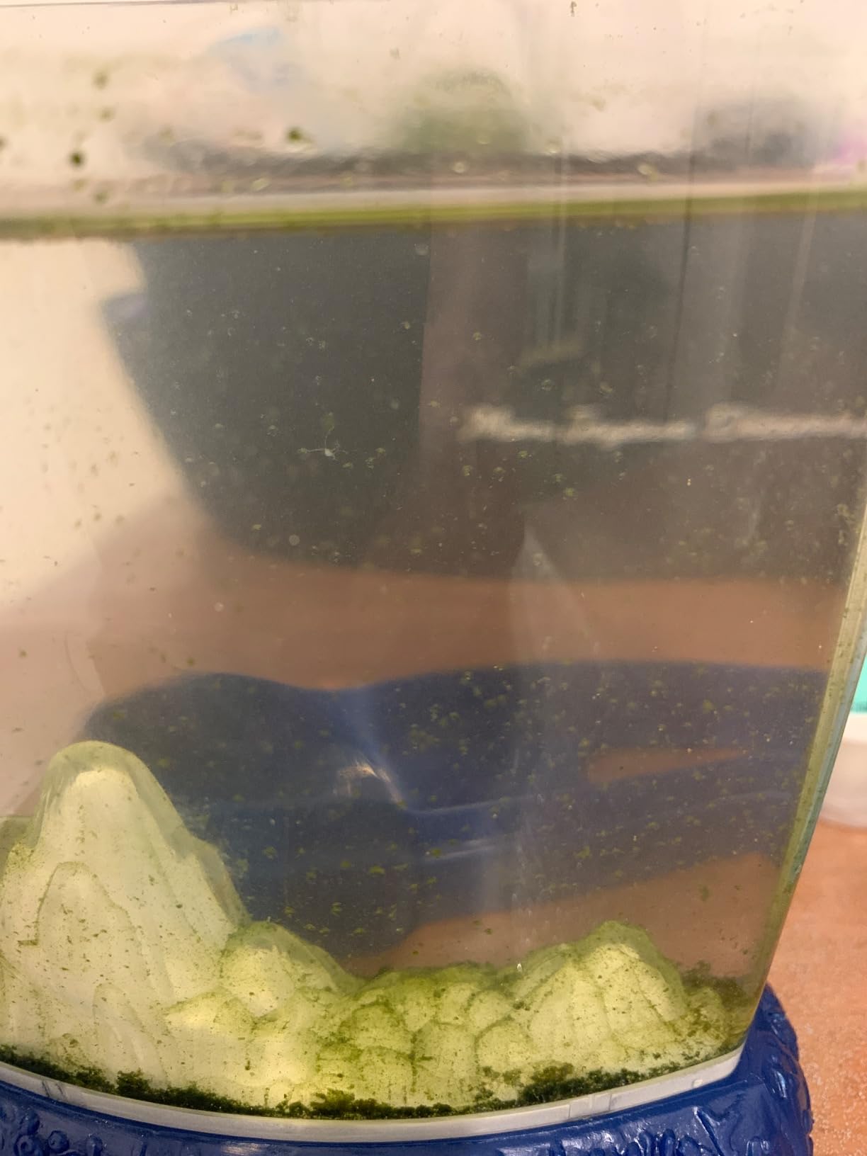 Aquarium original