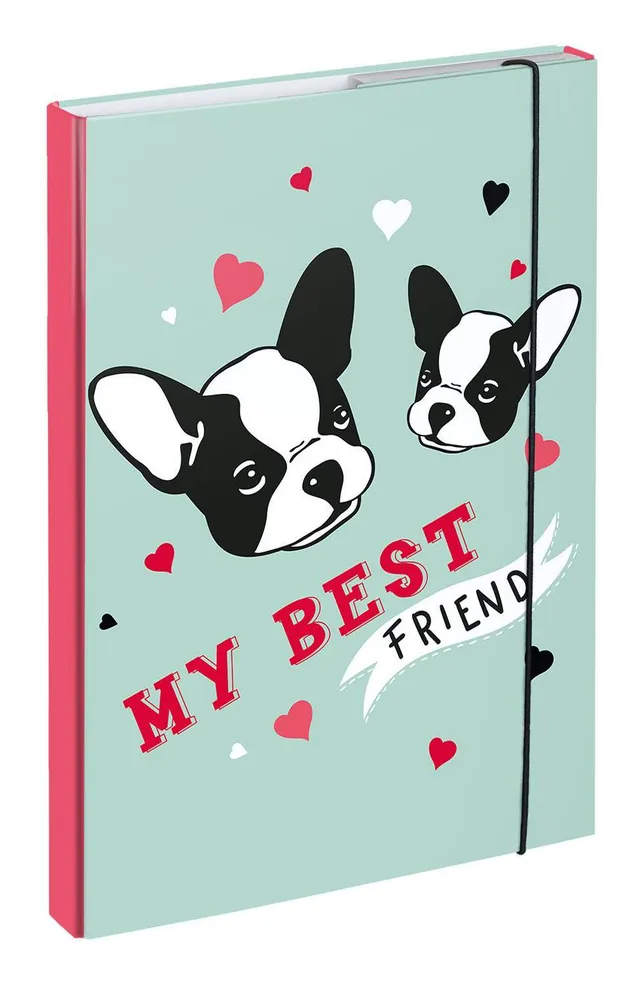 baagl-notebook-folders-chemise-a4-doggie-lastique image 1
