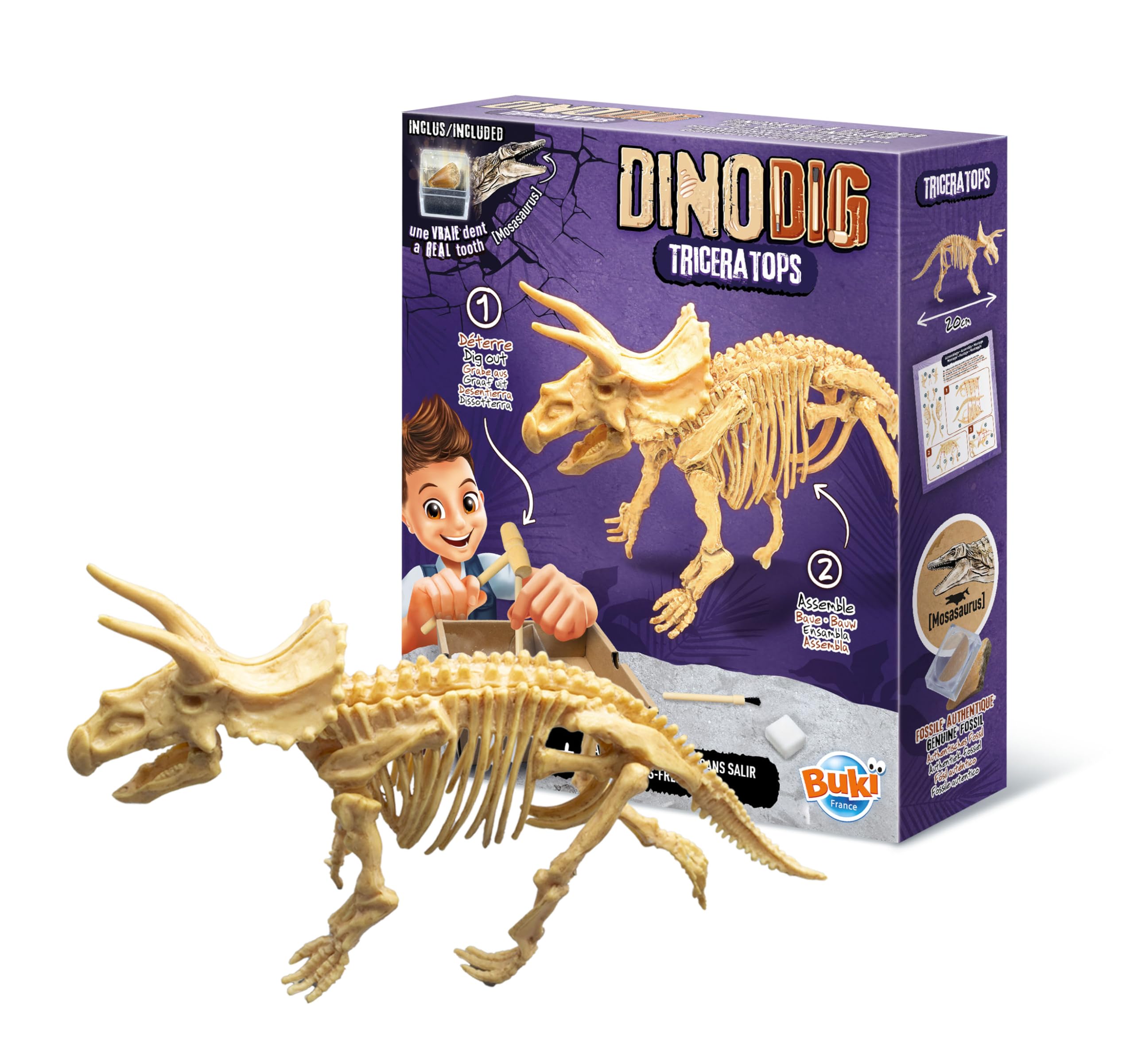 buki-science-dino-dig-tric-ratops-kit-de-fouille-dent-mosasaure image 2