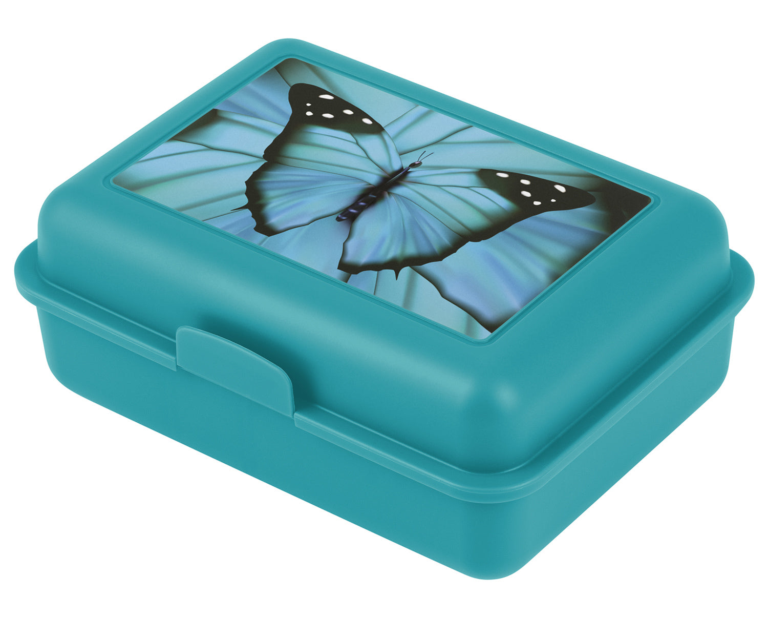 baagl-butterfly-bo-te-go-ter-bleue-compartiment image 1