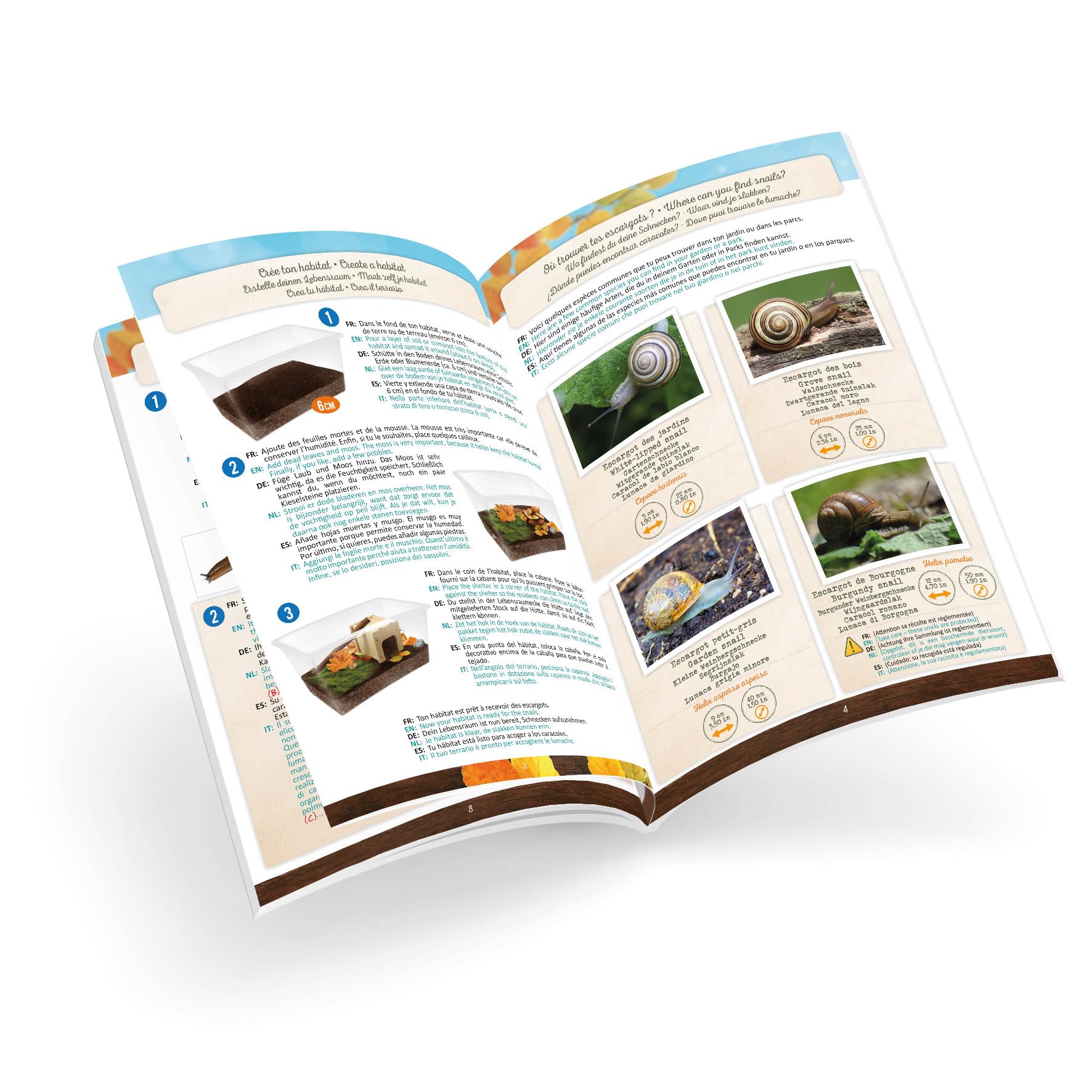 buki-nature-maison-des-escargots-vivarium-enfant-habitat-bois-6-ans image 8