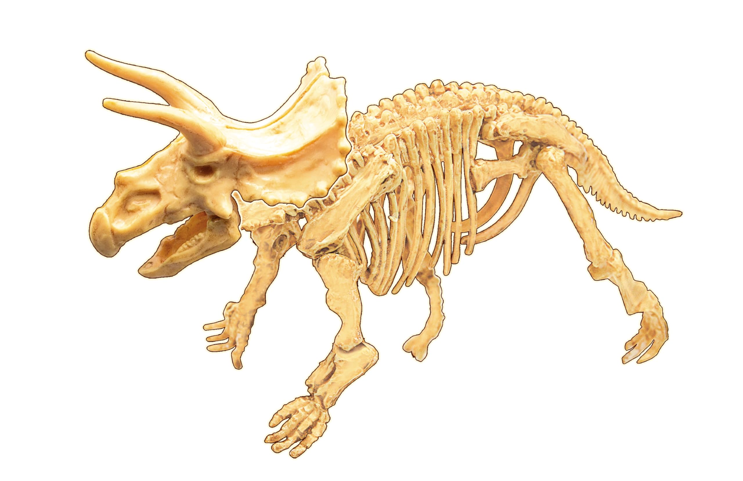 buki-science-dino-dig-tric-ratops-kit-de-fouille-dent-mosasaure image 4