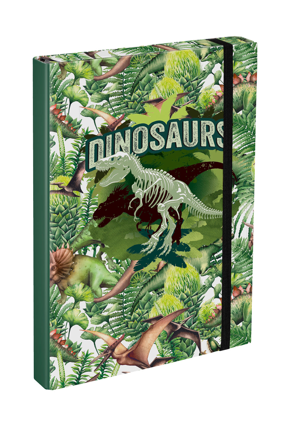 baagl-dinosaurs-chemise-lastiques-a4-dinosaures image 1