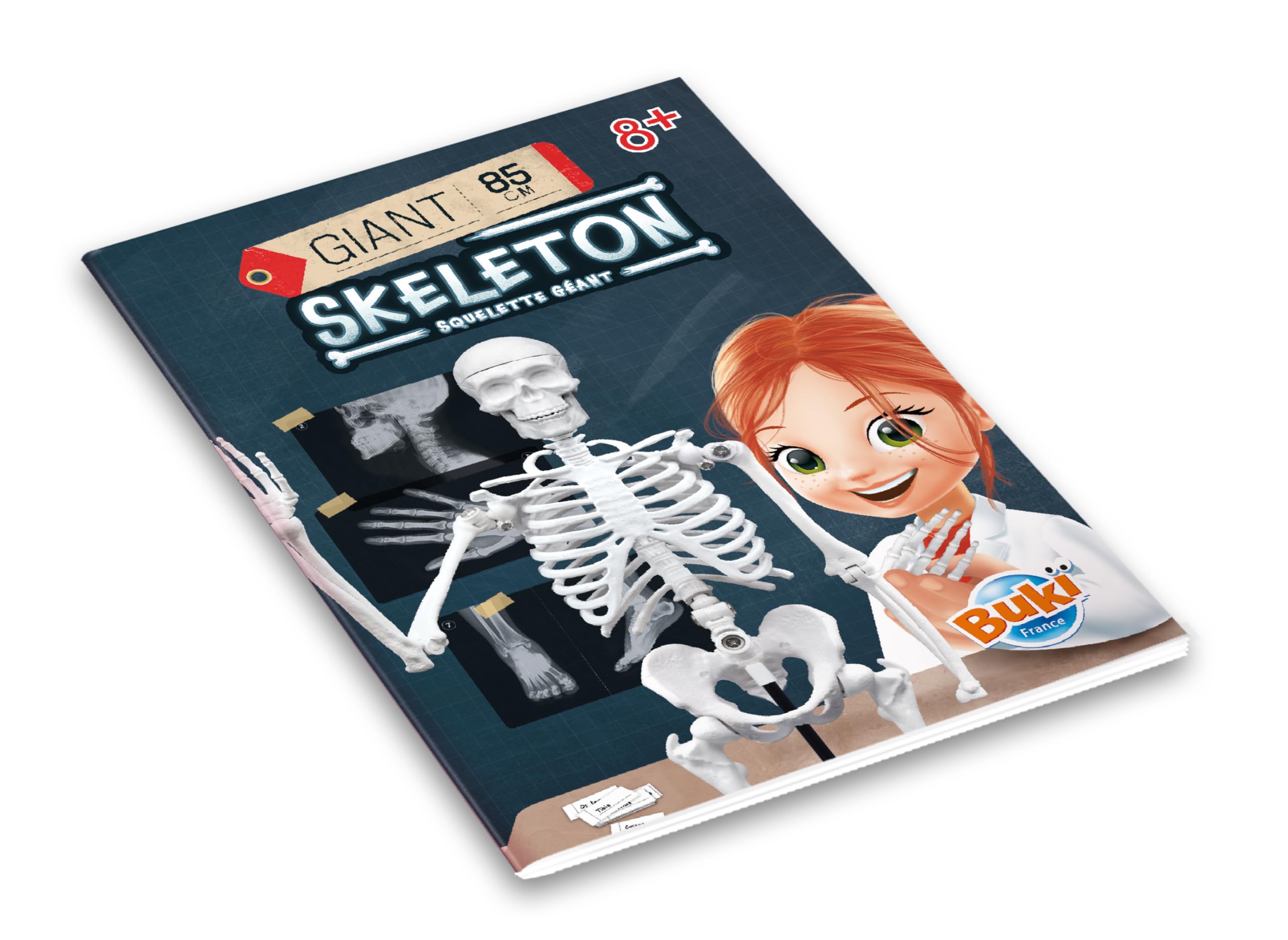 buki-2181-squelette-g-ant-85-cm-articul-anatomie-8-ans image 7