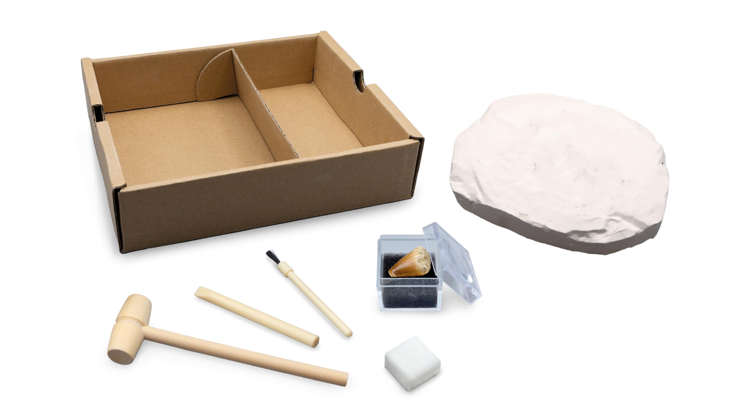 buki-science-dino-dig-t-rex-kit-fouille-dinosaure-20-cm image 4