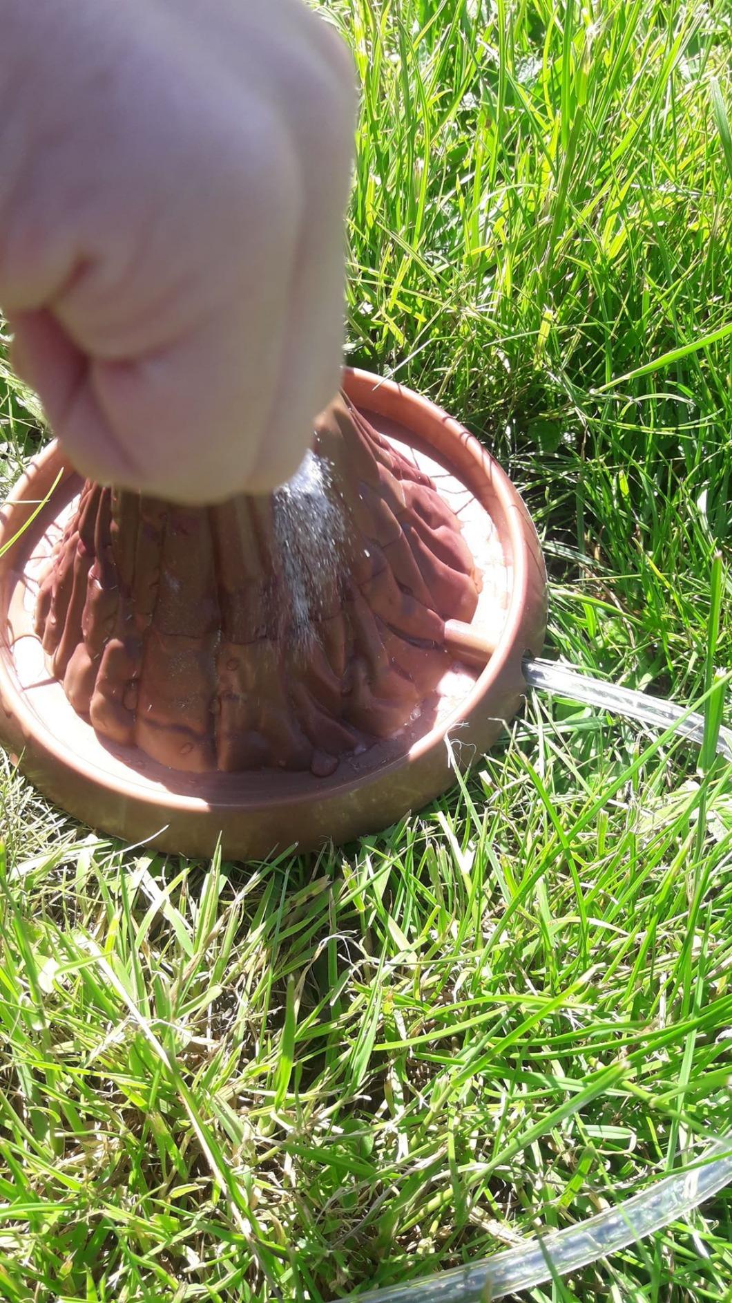 Fouille adorée