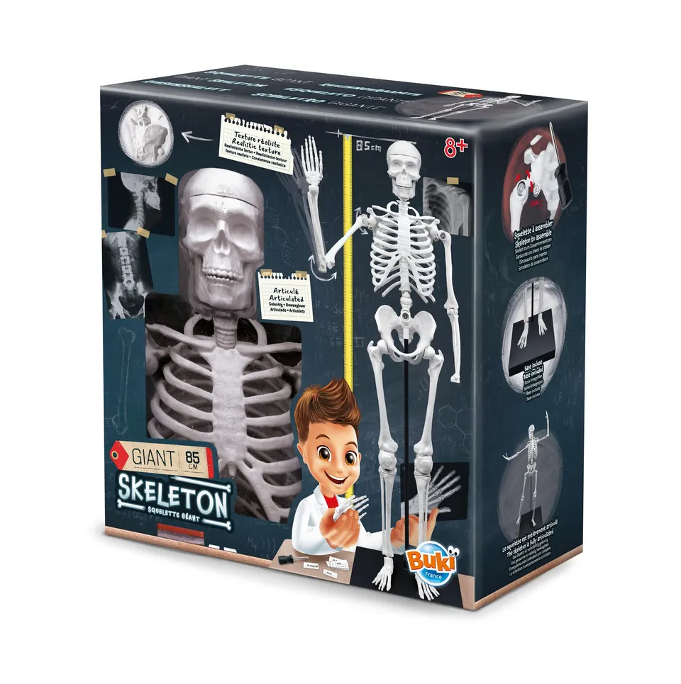 buki-2181-squelette-g-ant-85-cm-articul-anatomie-8-ans image 1
