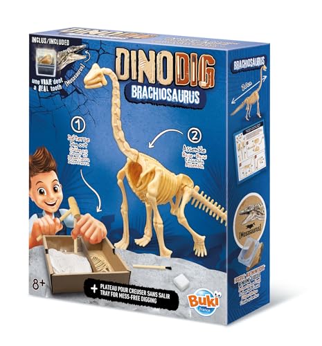 buki-dino-dig-brachiosaure-dinosaure-d-terrer-squelette-20-cm image 7