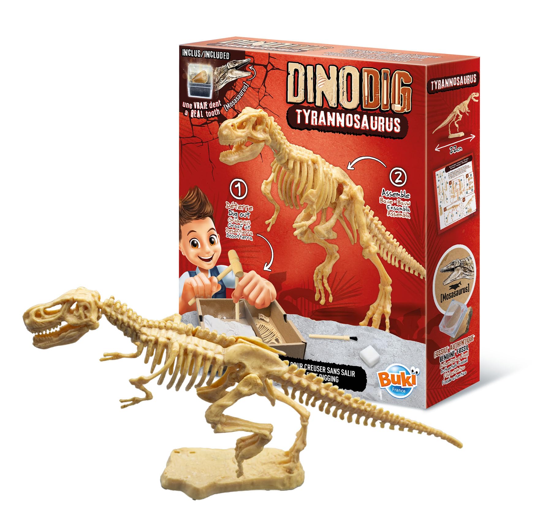 buki-science-dino-dig-t-rex-kit-fouille-dinosaure-20-cm image 2