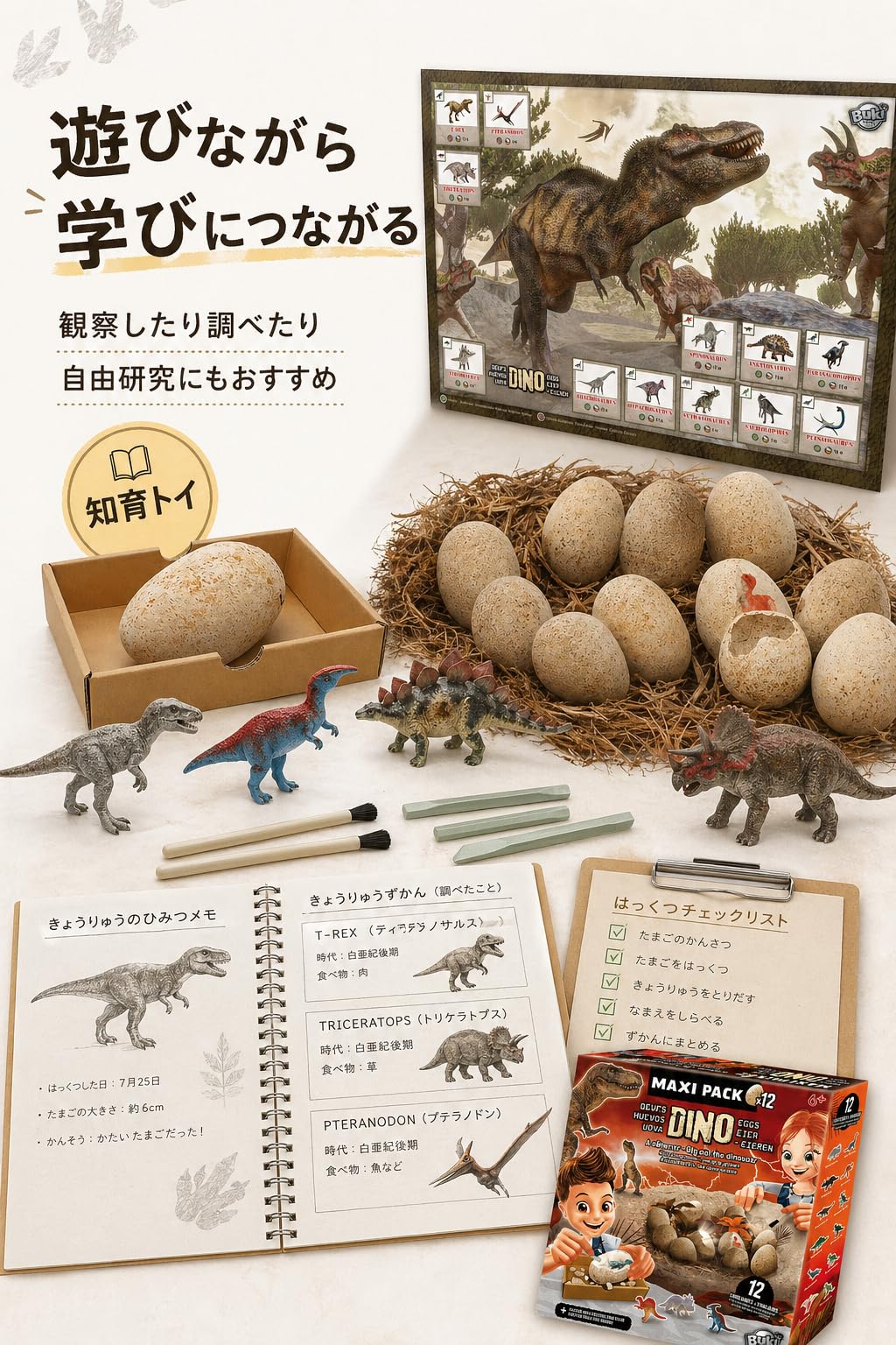buki-science-2138-dino-egg-maxi-pack-12-ufs-dinosaures image 6