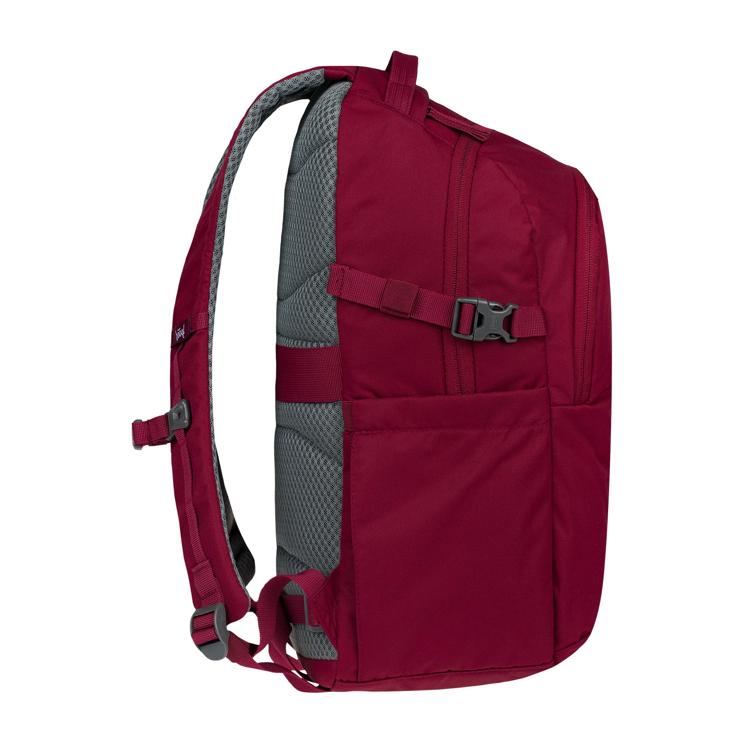 baagl-dash-burgundy-sac-dos-bordeaux-24-l-l-ger image 4