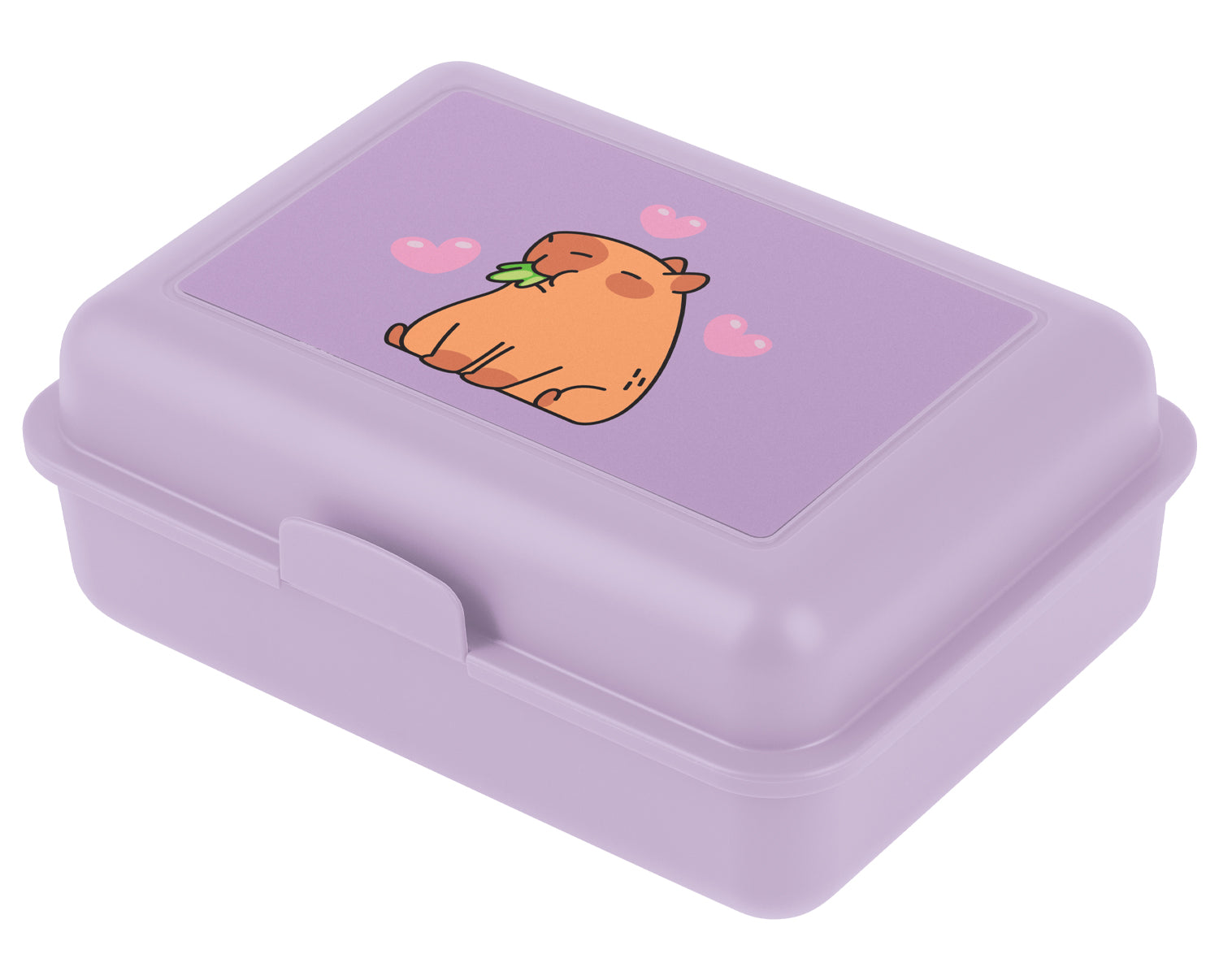 baagl-capybara-bo-te-go-ter-compartiment image 1