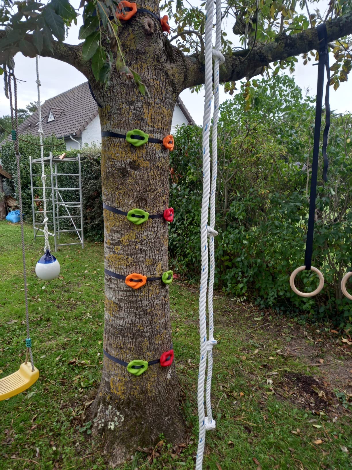 Faut un gros arbre