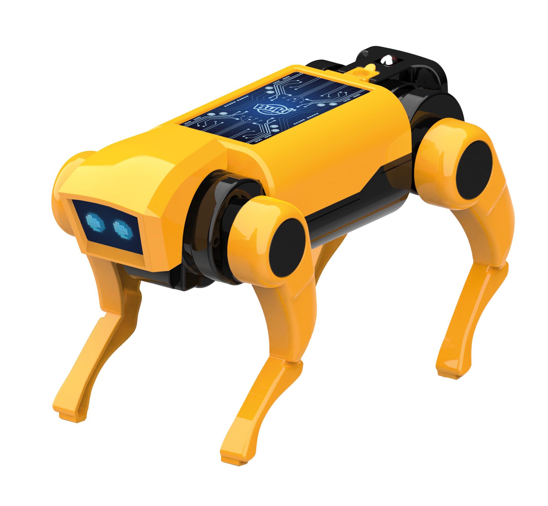 buki-mini-lab-3019-chien-robot-rc-construire-t-l-commande-8-ans image 5