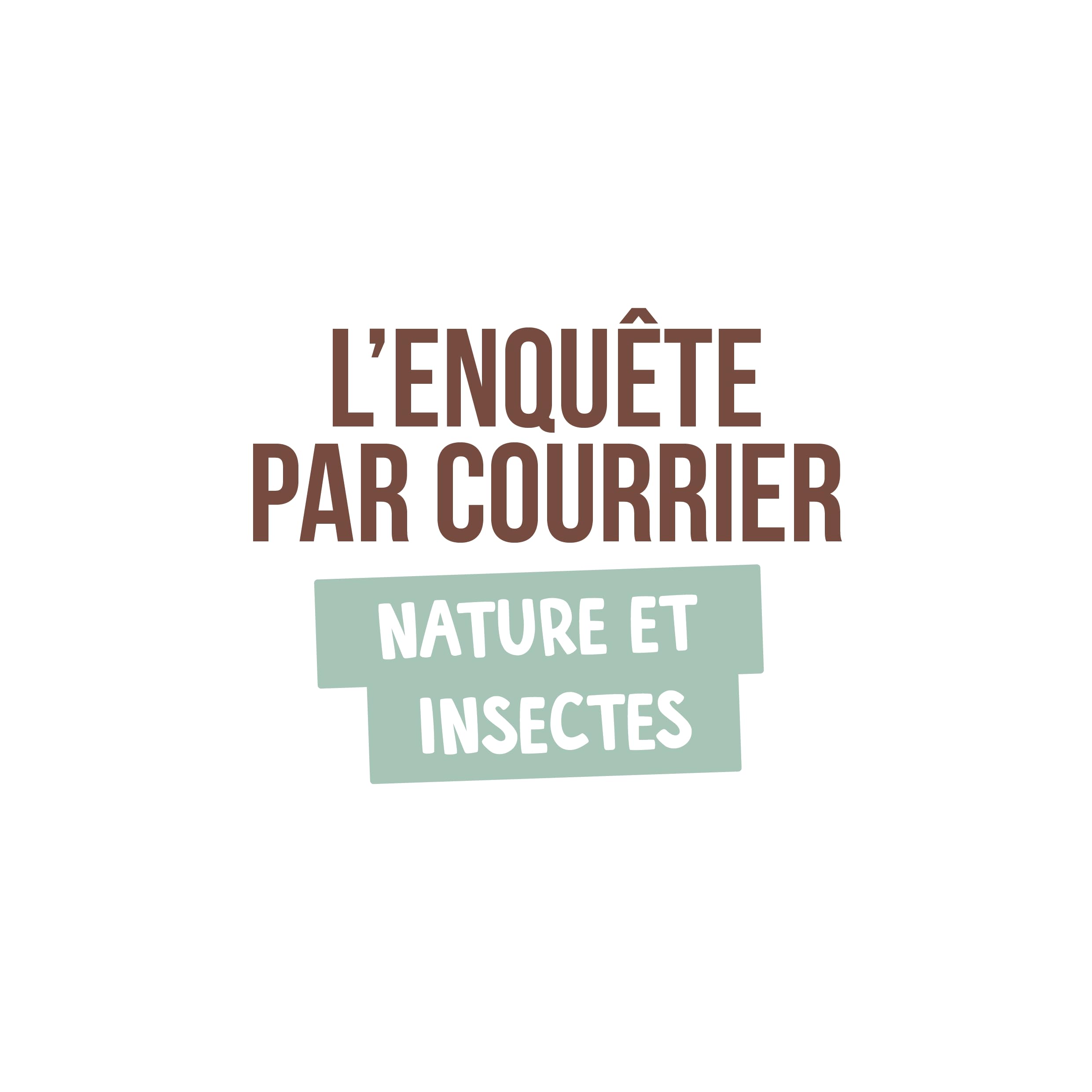 blackrock-enqu-te-nature-et-insectes-jeu-enfant-7-ans image 4