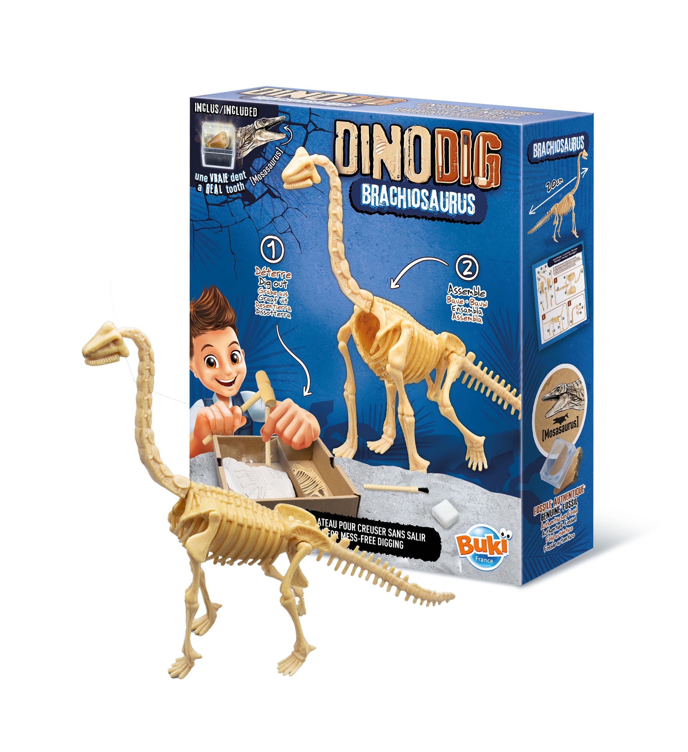 buki-dino-dig-brachiosaure-dinosaure-d-terrer-squelette-20-cm image 2