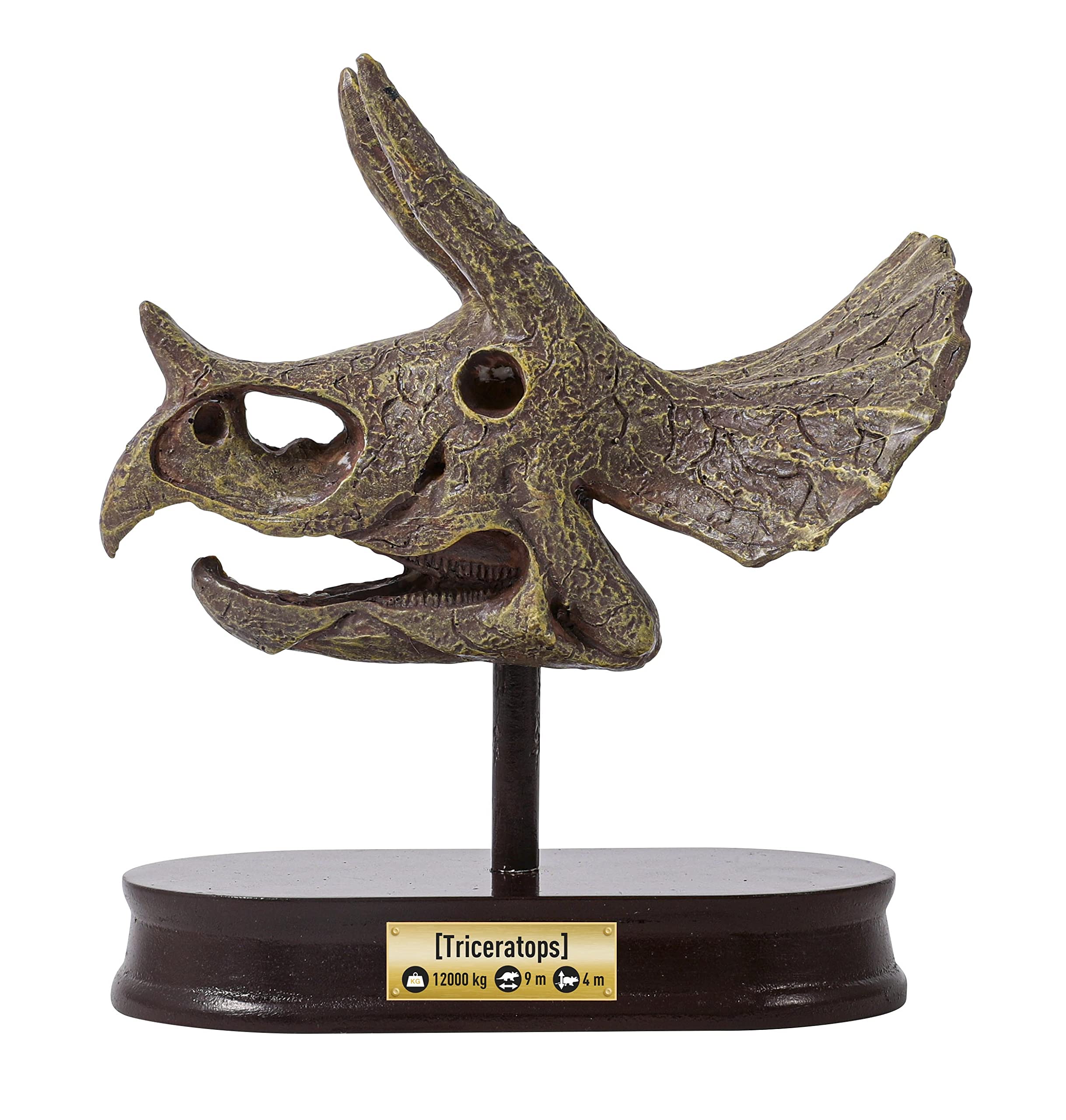 buki-science-2131-cr-ne-dino-tric-ratops-fouiller-8-ans image 5