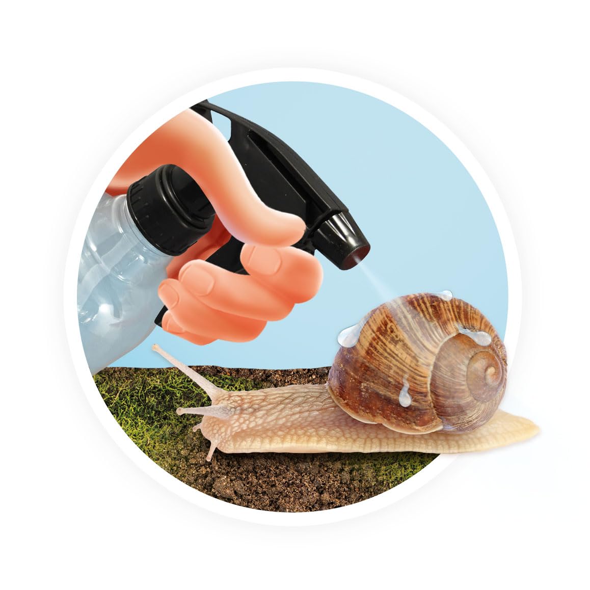 buki-nature-maison-des-escargots-vivarium-enfant-habitat-bois-6-ans image 5