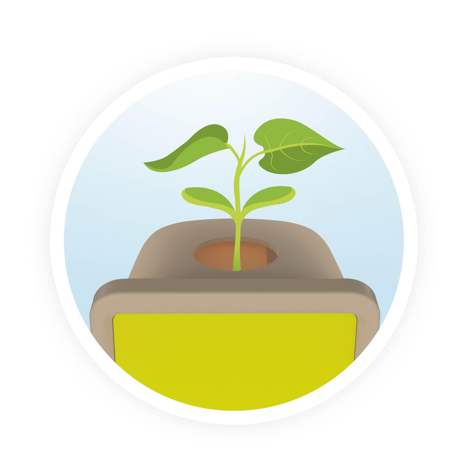 buki-science-petite-pousse-kit-germination-jardinage-d-s-5-ans image 8