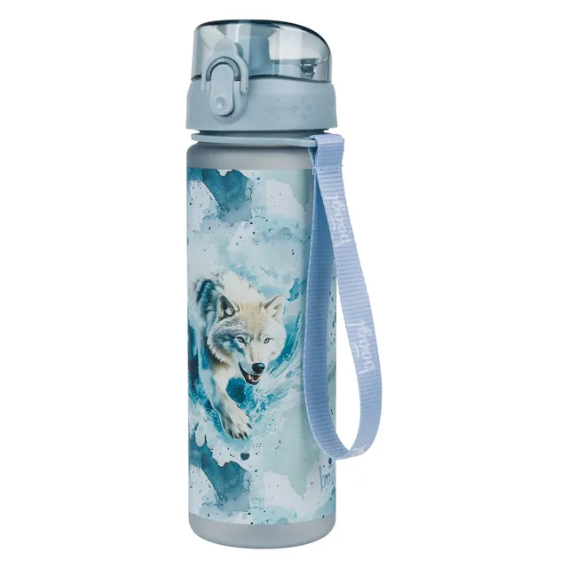 baagl-polar-bouteille-tritan-500-ml-filtration-fruits-et-th image 1