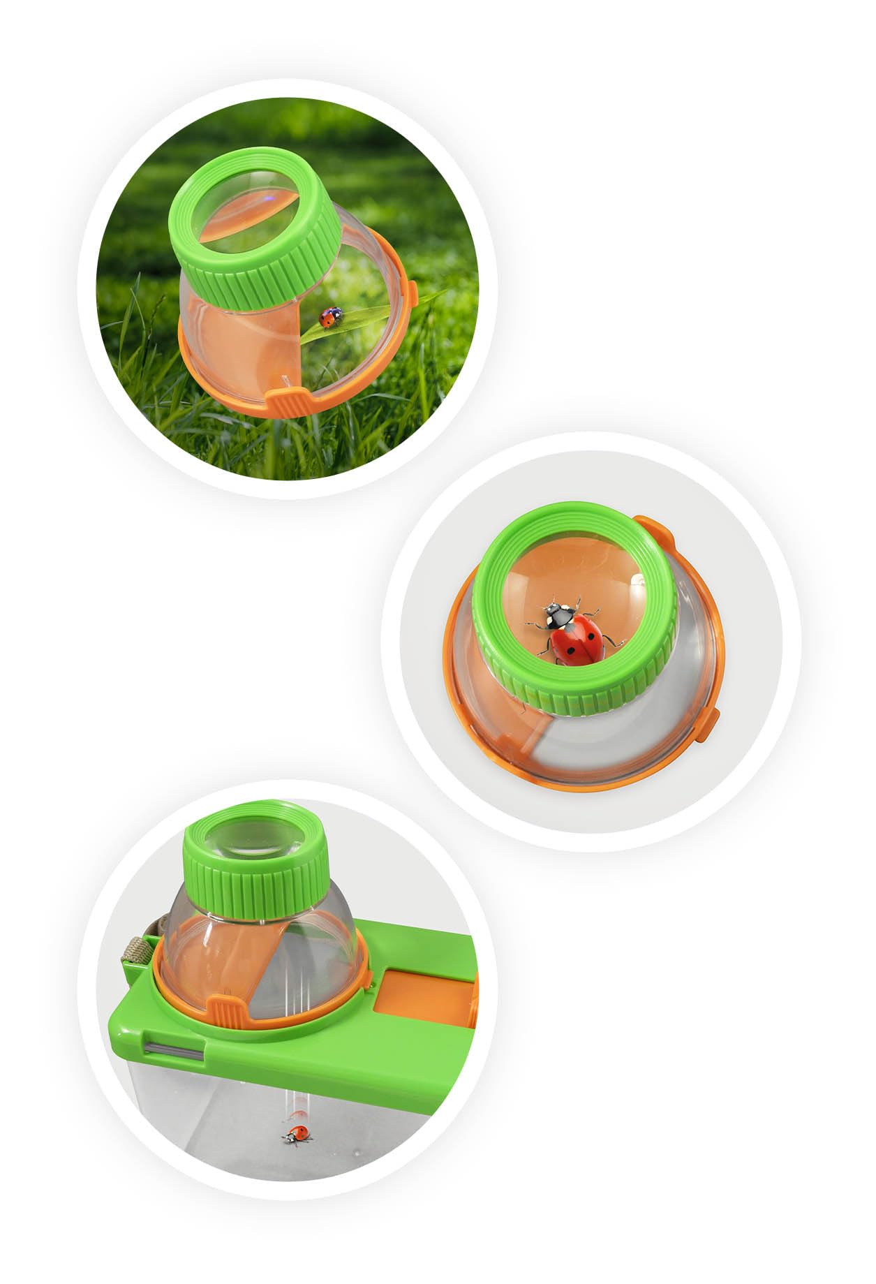 buki-nature-et-observation-bl034-terrarium-insectes-d-s-6-ans image 5