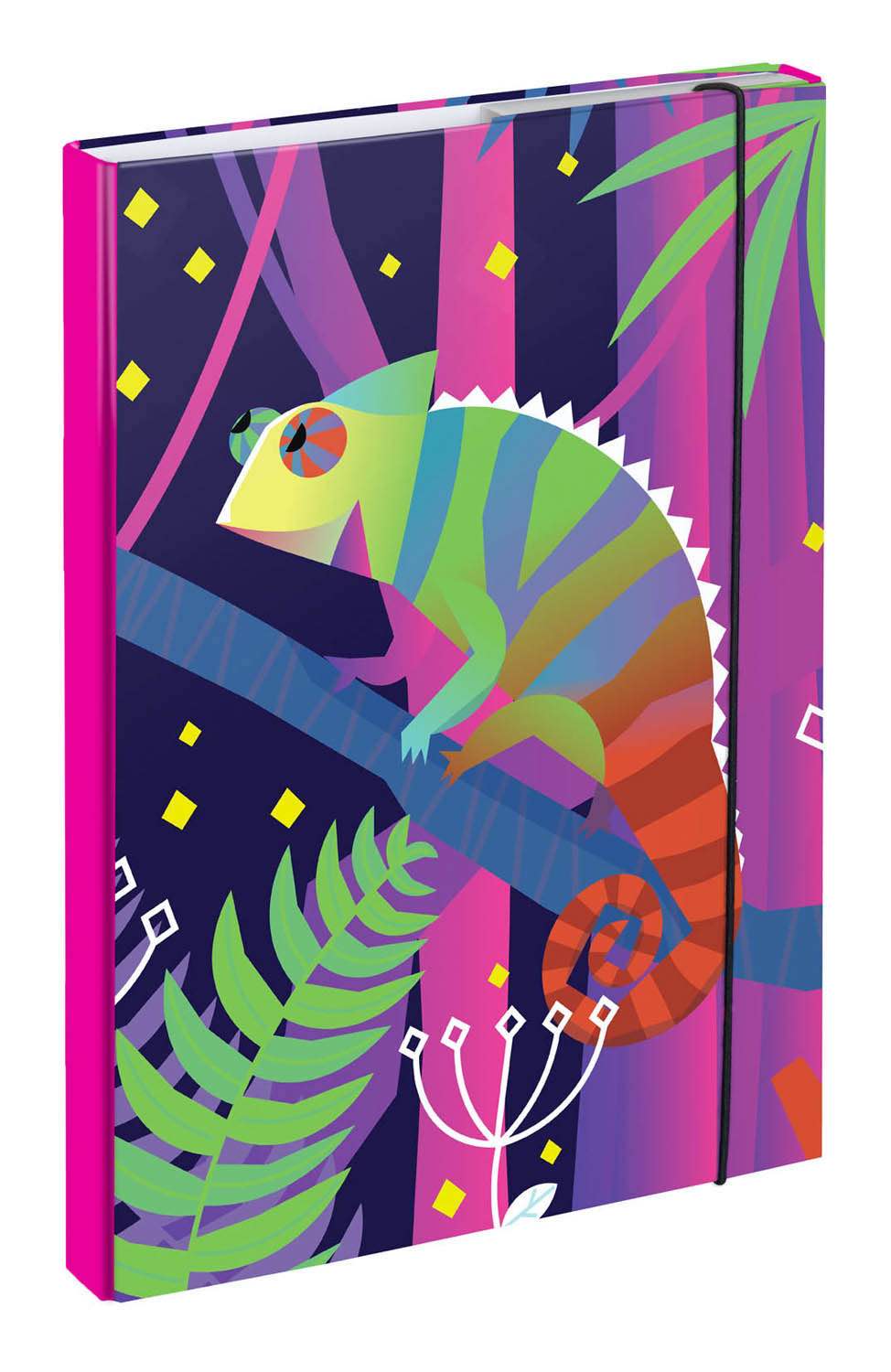 baagl-chameleon-heftbox-chemise-a4-cam-l-on-lastique image 1