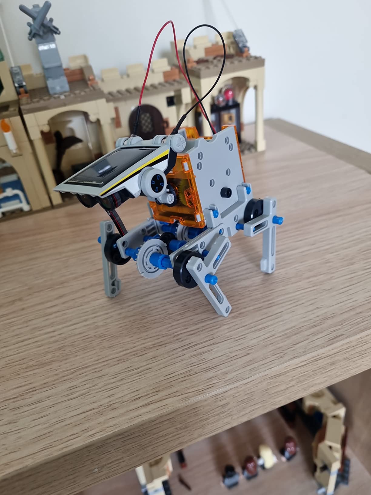 Adore le crabe