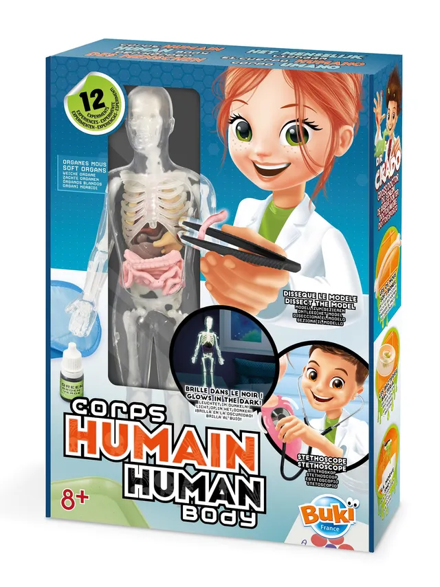 buki-2163-corps-humain-maquette-anatomie-12-exp-riences-8-ans image 1