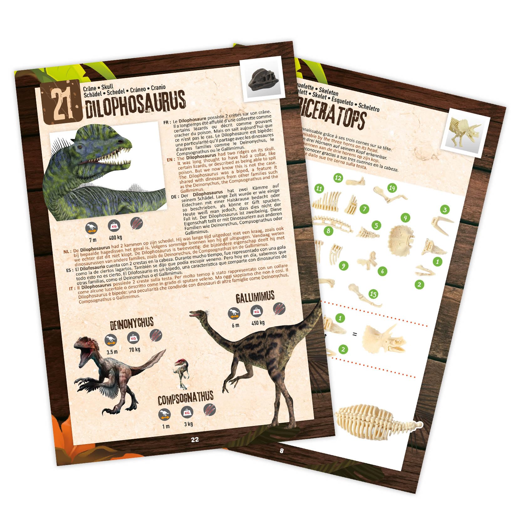 buki-science-2135-dino-coffret-dinosaures-25-surprises image 6