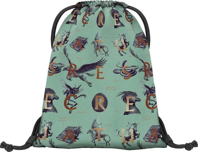baagl-harry-potter-fantastic-beasts-sac-gym-cordon image 1