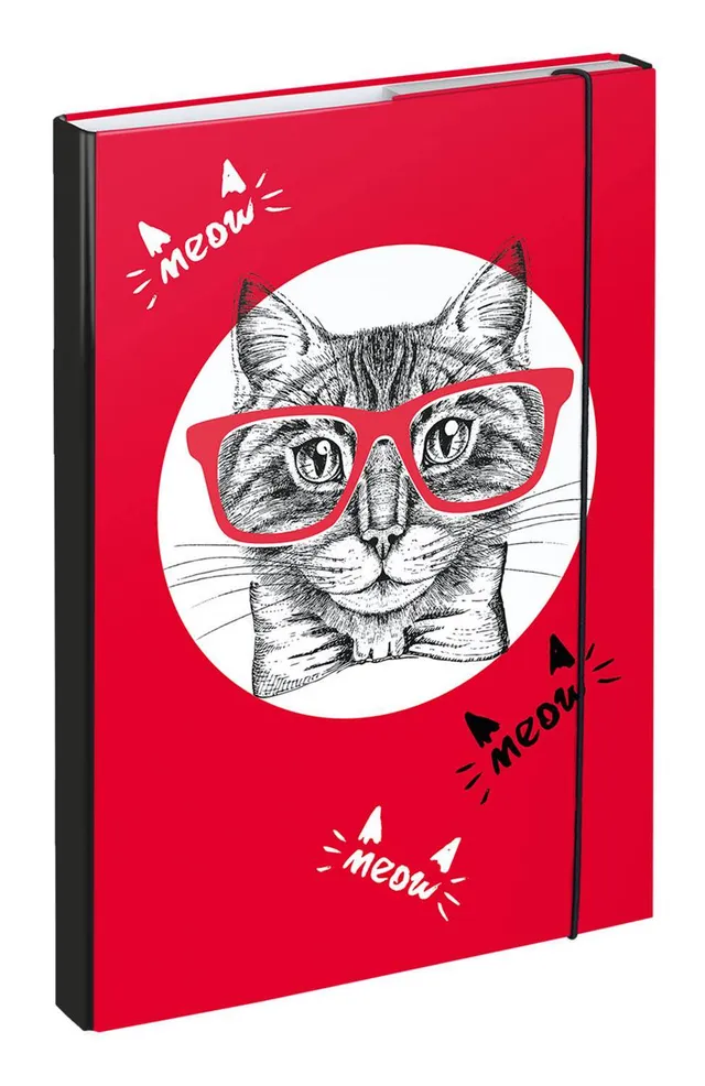 baagl-cat-heftbox-a4-chemise-lastique-chat image 1