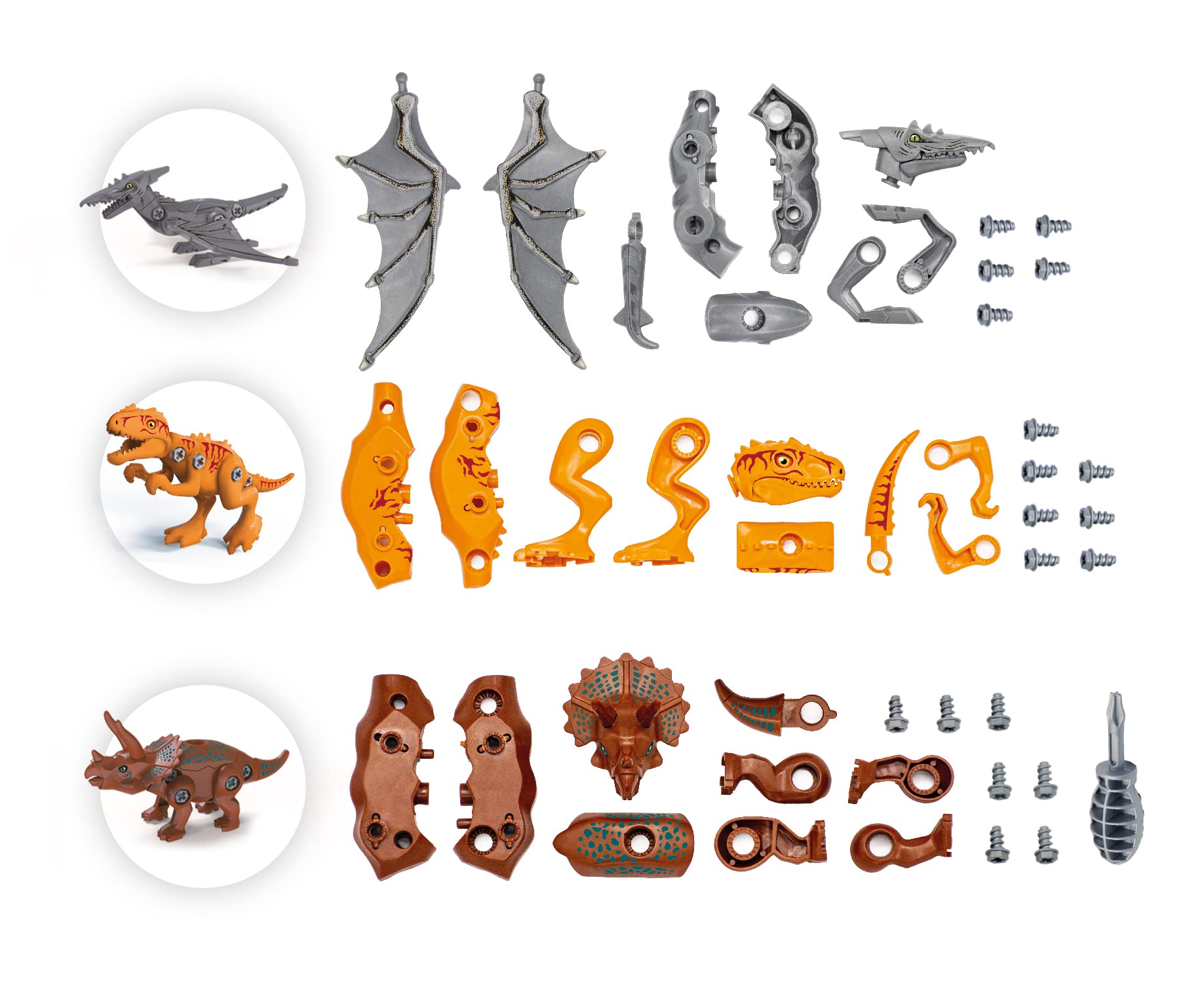 buki-science-2136-dinos-assembler-jeu-construction-4-ans image 4