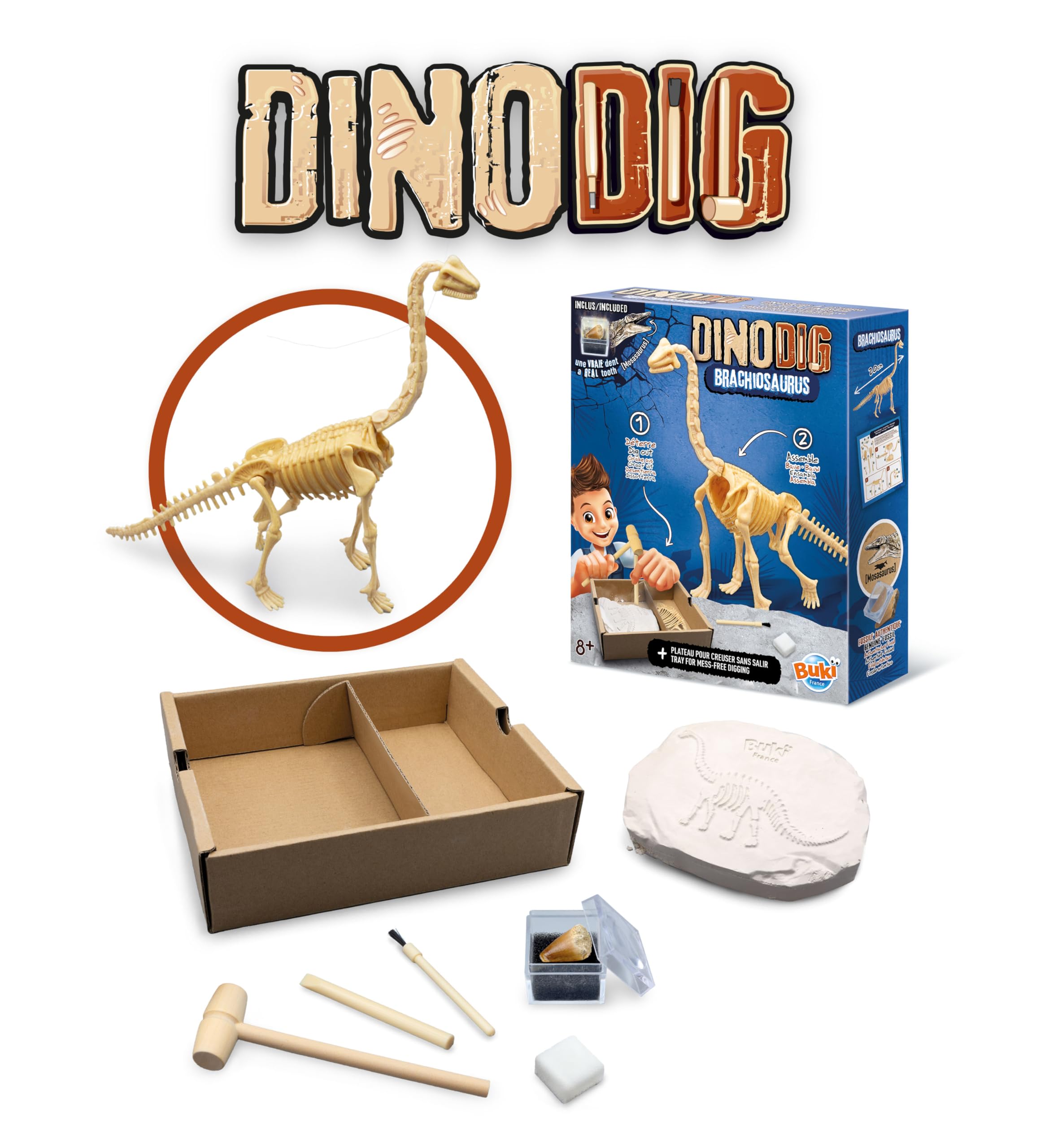 buki-dino-dig-brachiosaure-dinosaure-d-terrer-squelette-20-cm image 4
