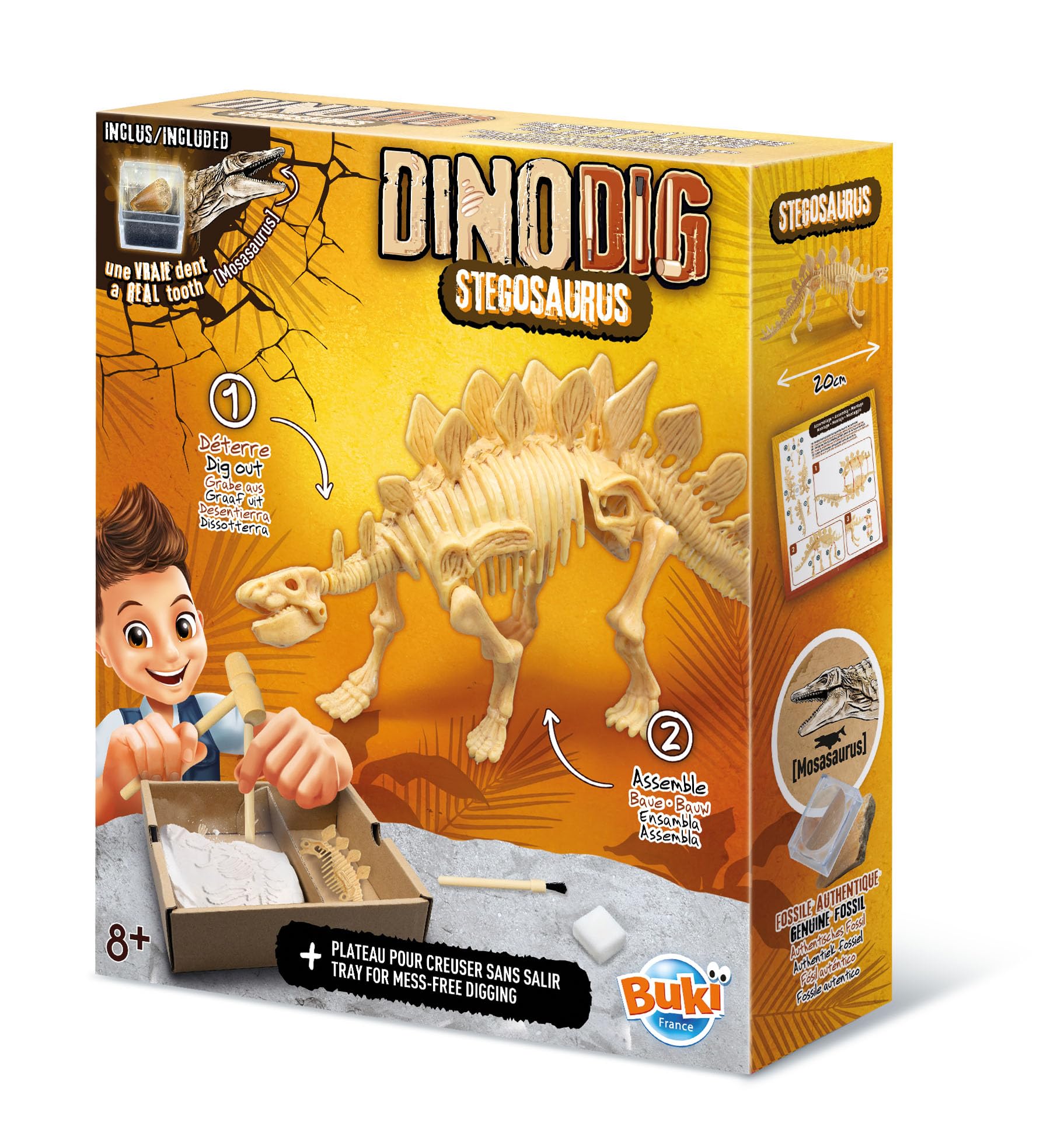buki-science-dino-dig-stegosaurus-squelette-d-terrer-20-cm image 1