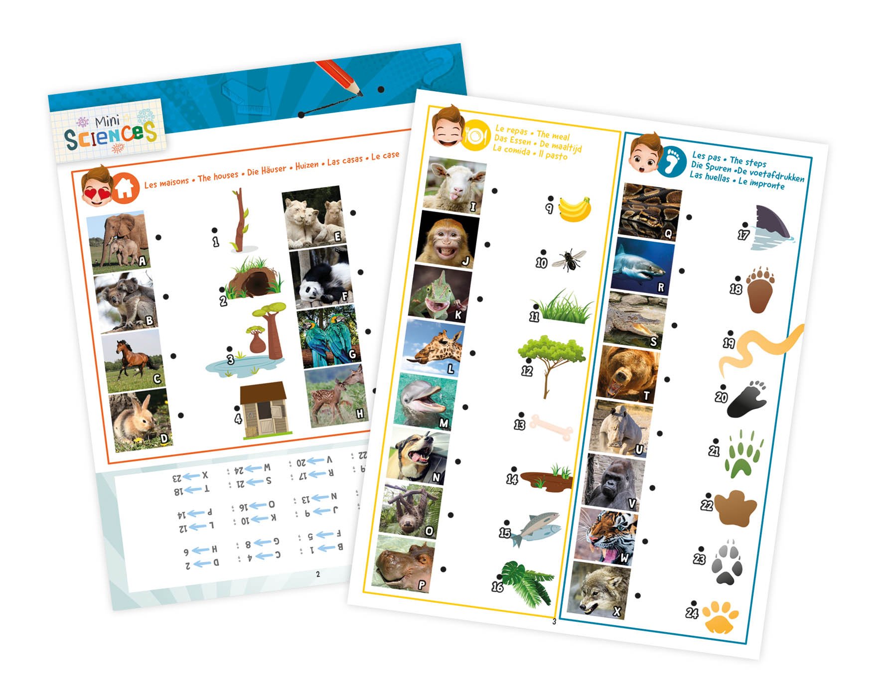 buki-9006-mini-sciences-lanterne-3-en-1-animaux image 4