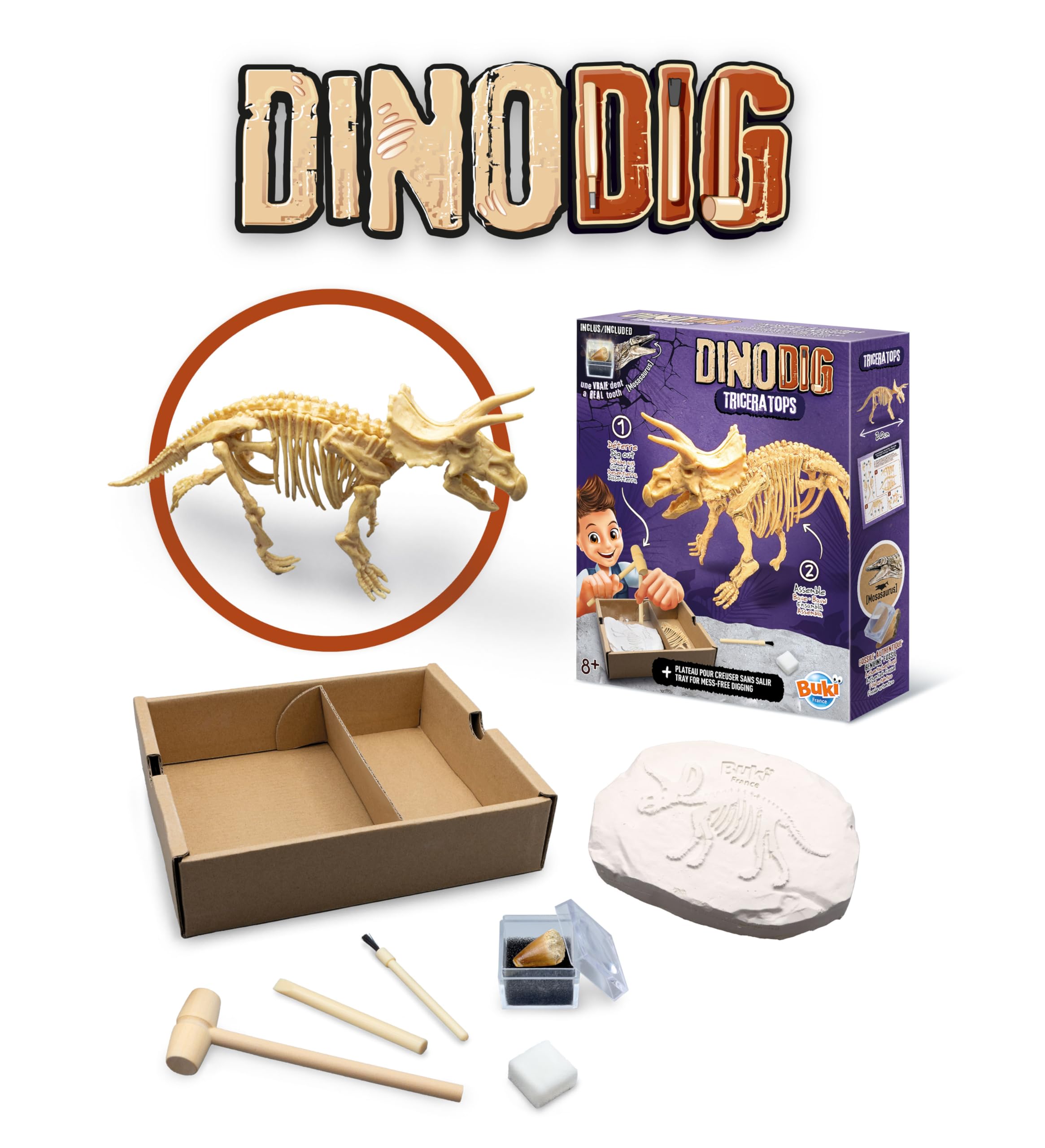 buki-science-dino-dig-tric-ratops-kit-de-fouille-dent-mosasaure image 3