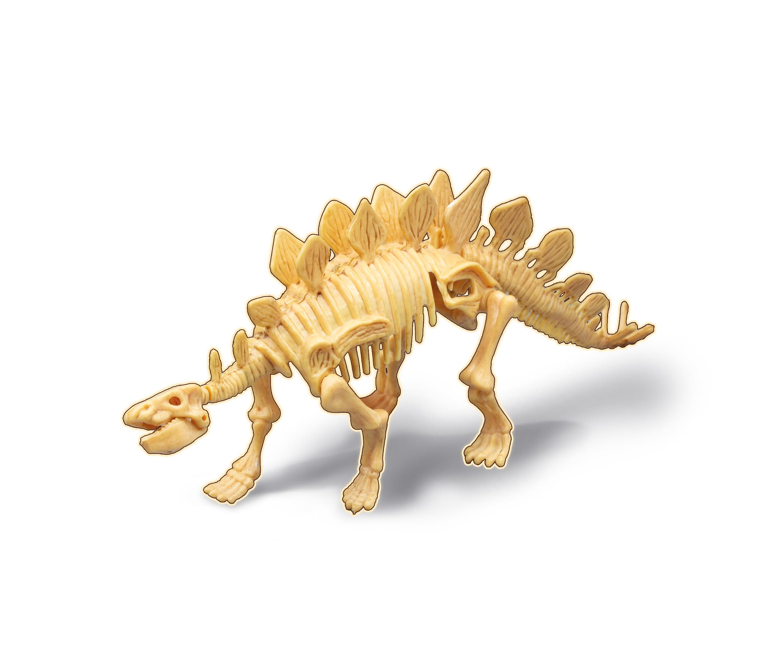 buki-science-dino-dig-stegosaurus-squelette-d-terrer-20-cm image 3