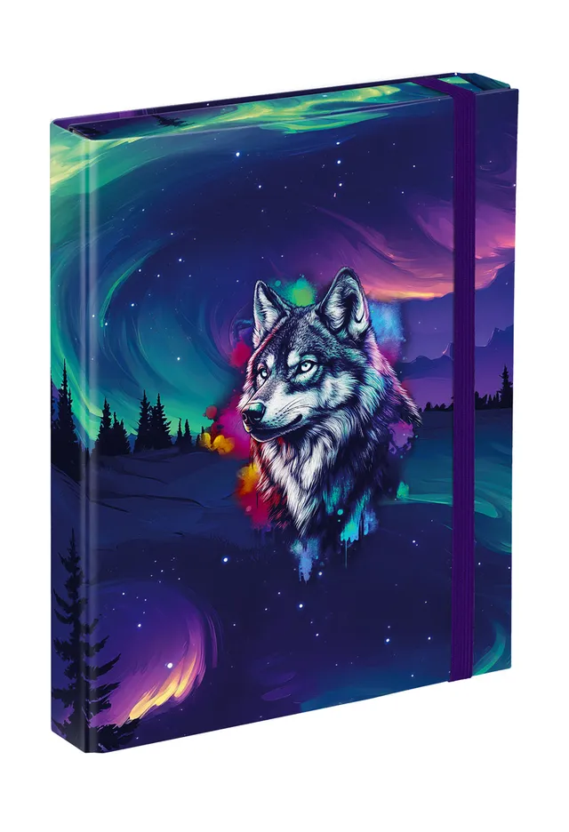 baagl-notebook-folders-a5-aurora-chemise-a5-lastique image 1