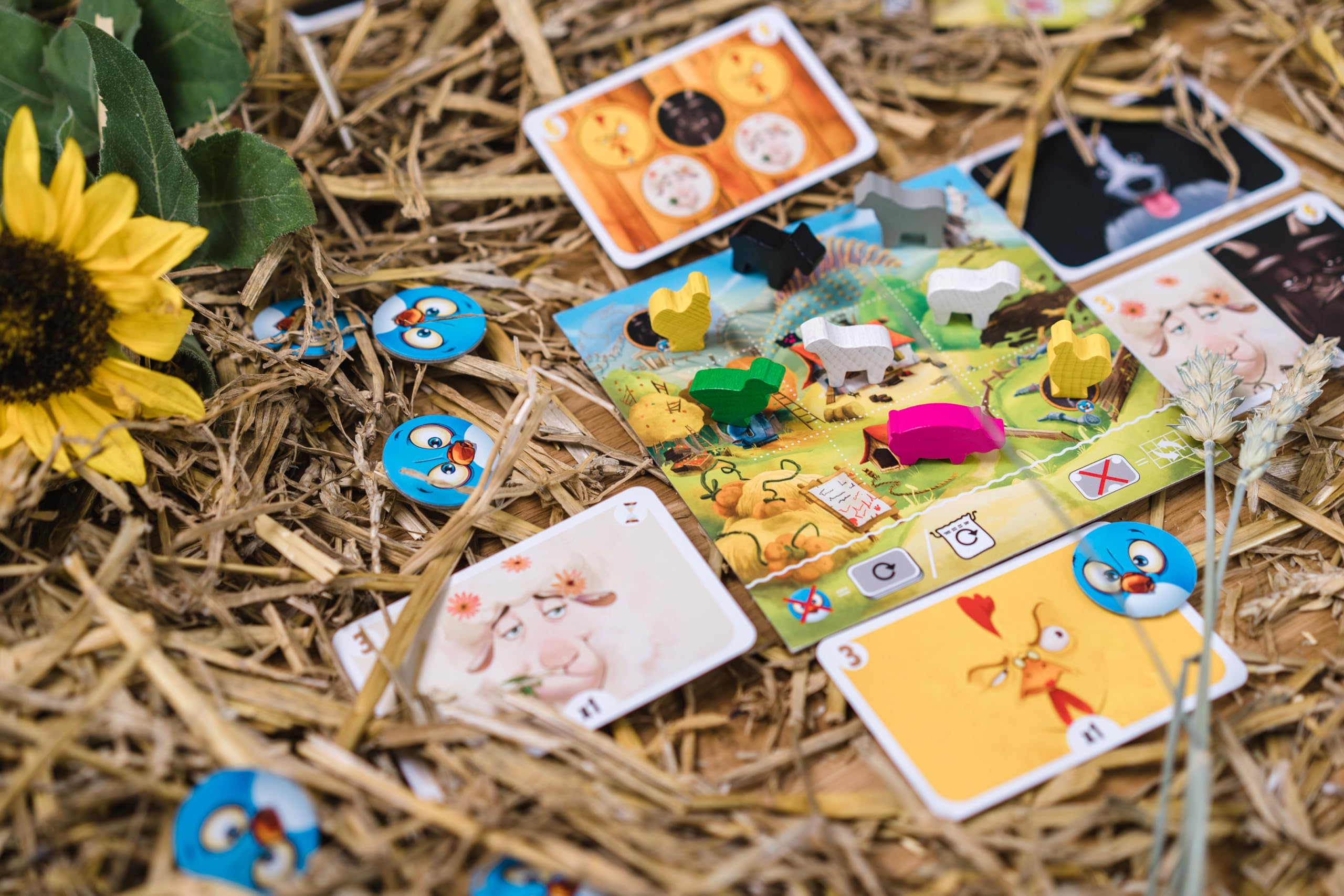 blackrock-ambiance-farm-club-jeu-soci-t-ferme-8-ans image 4