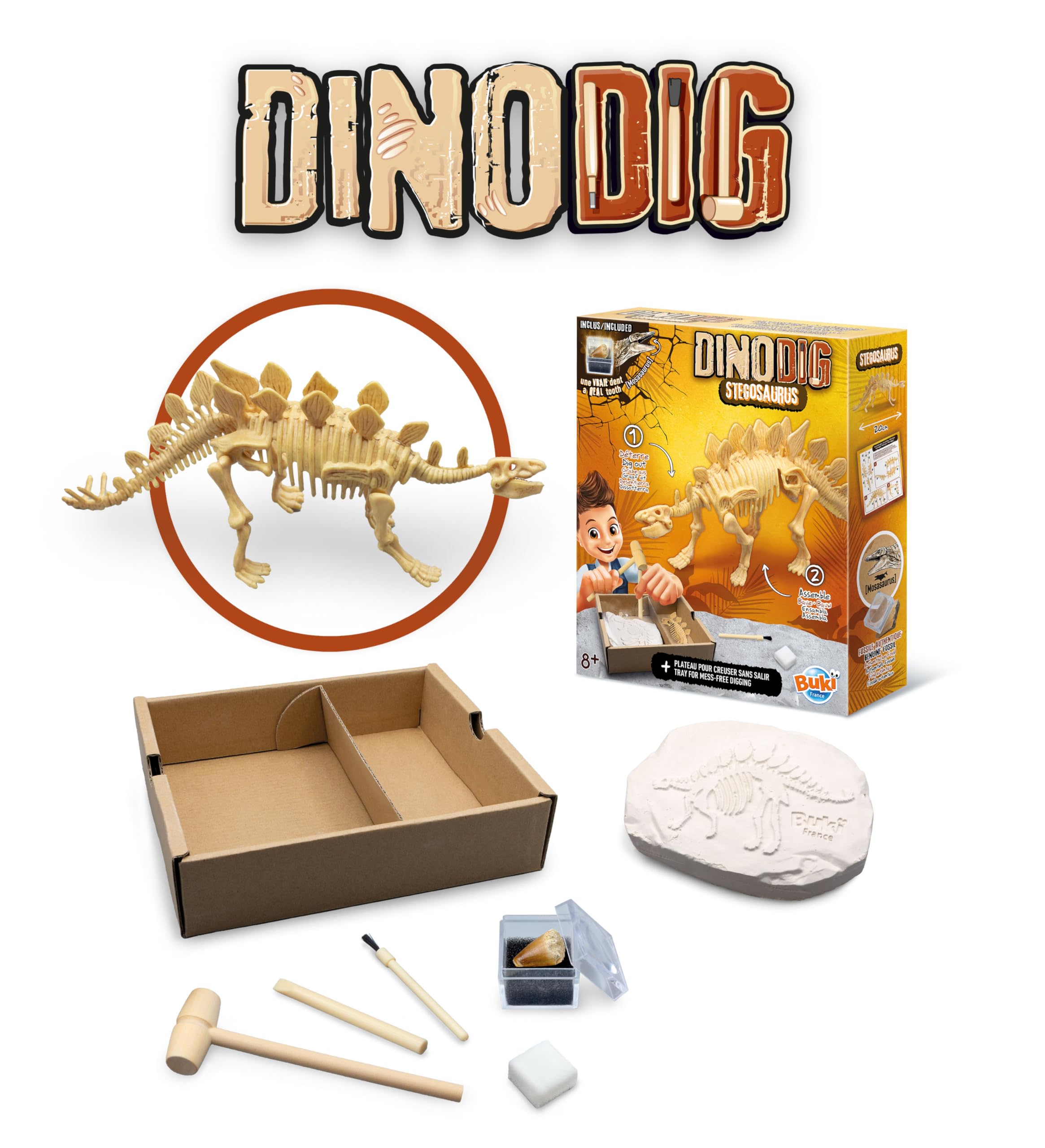buki-science-dino-dig-stegosaurus-squelette-d-terrer-20-cm image 4