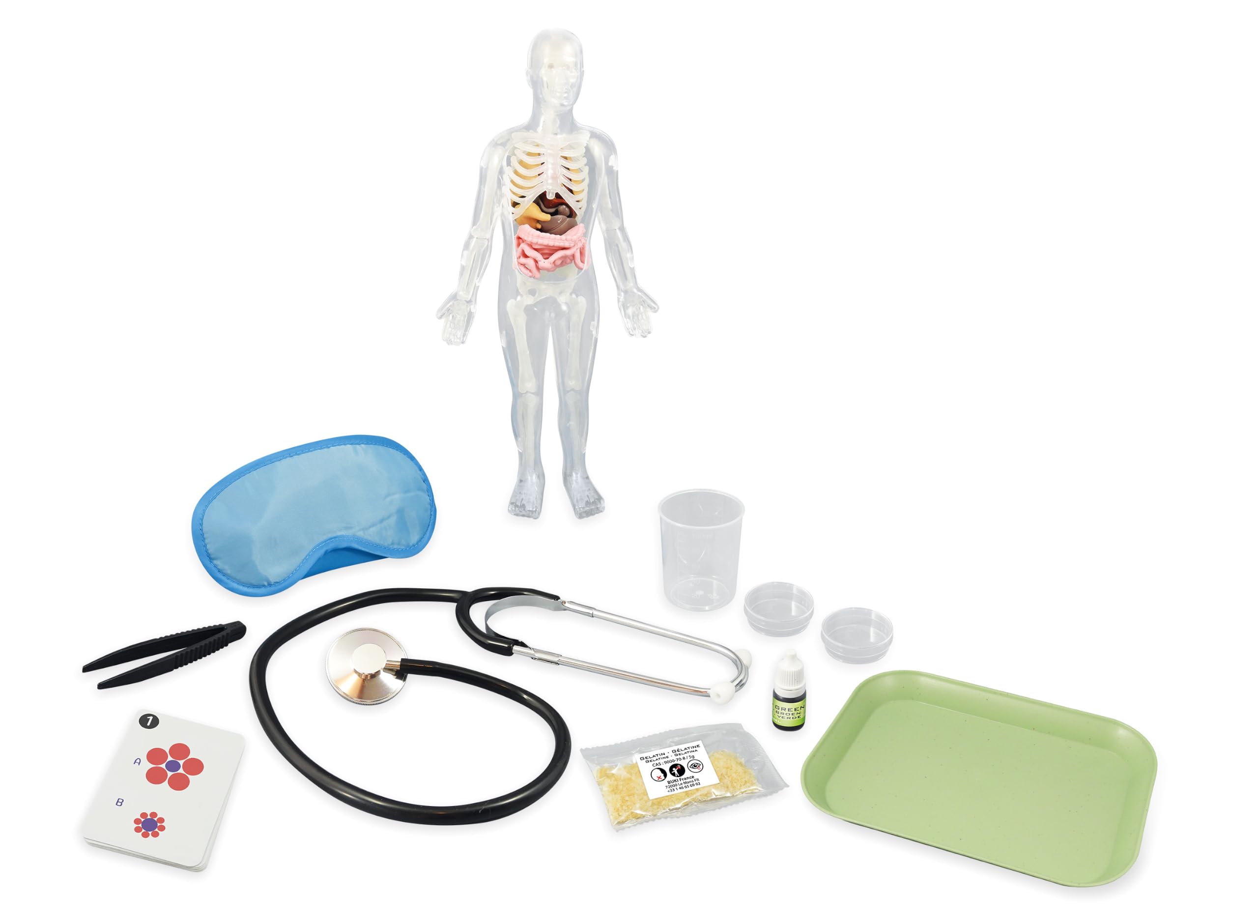buki-2163-corps-humain-maquette-anatomie-12-exp-riences-8-ans image 3